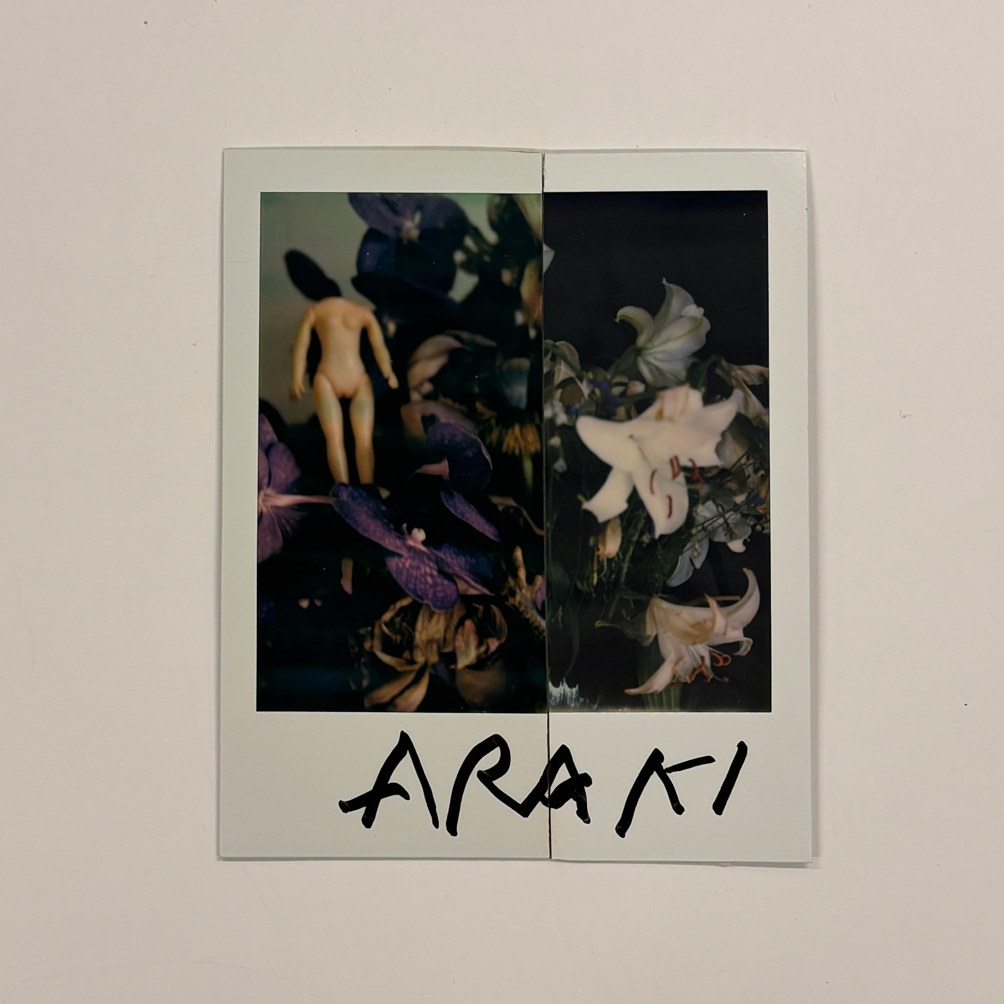 【荒木経惟/サイン入り】Polaroid collage
