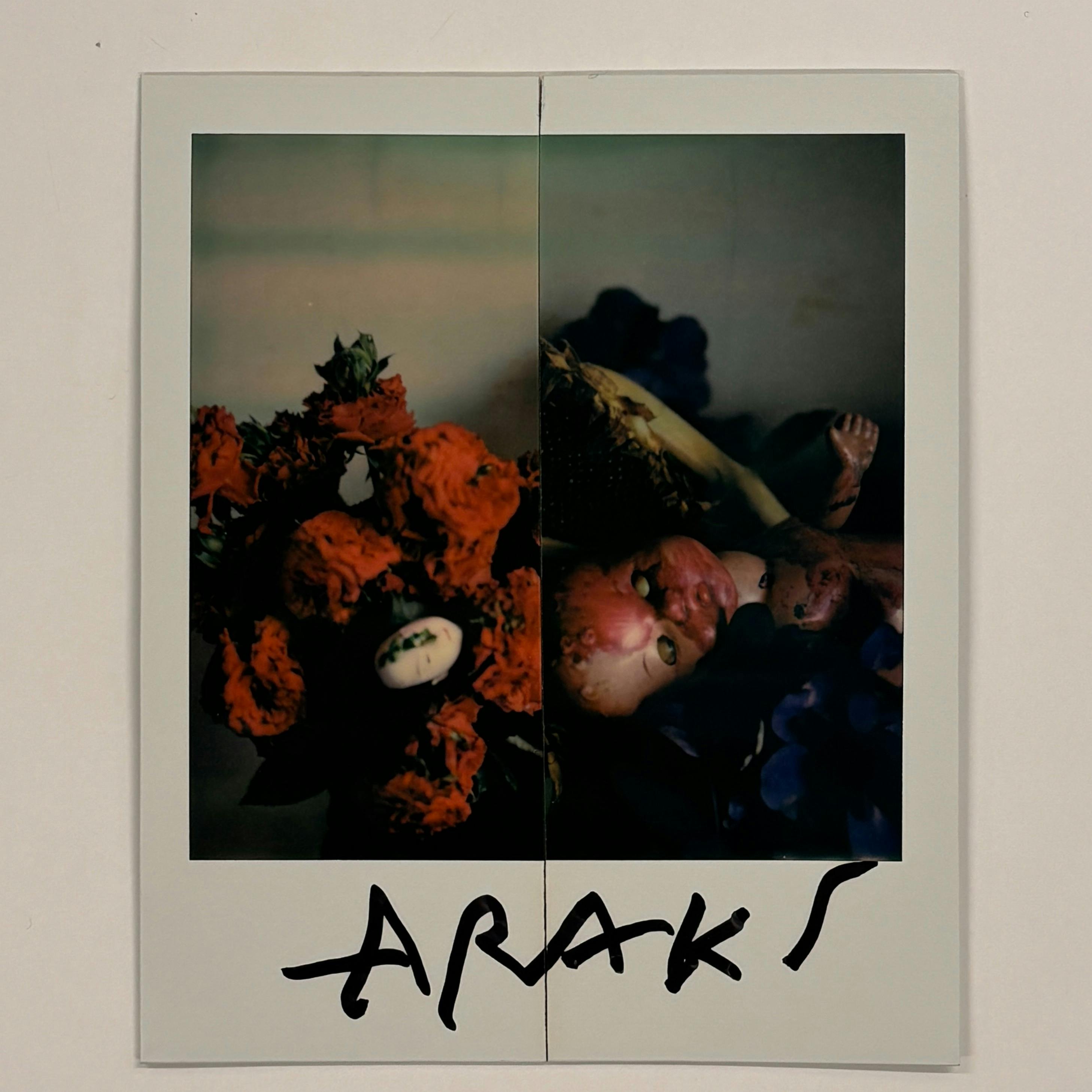 【荒木経惟/サイン入り】Polaroid collage