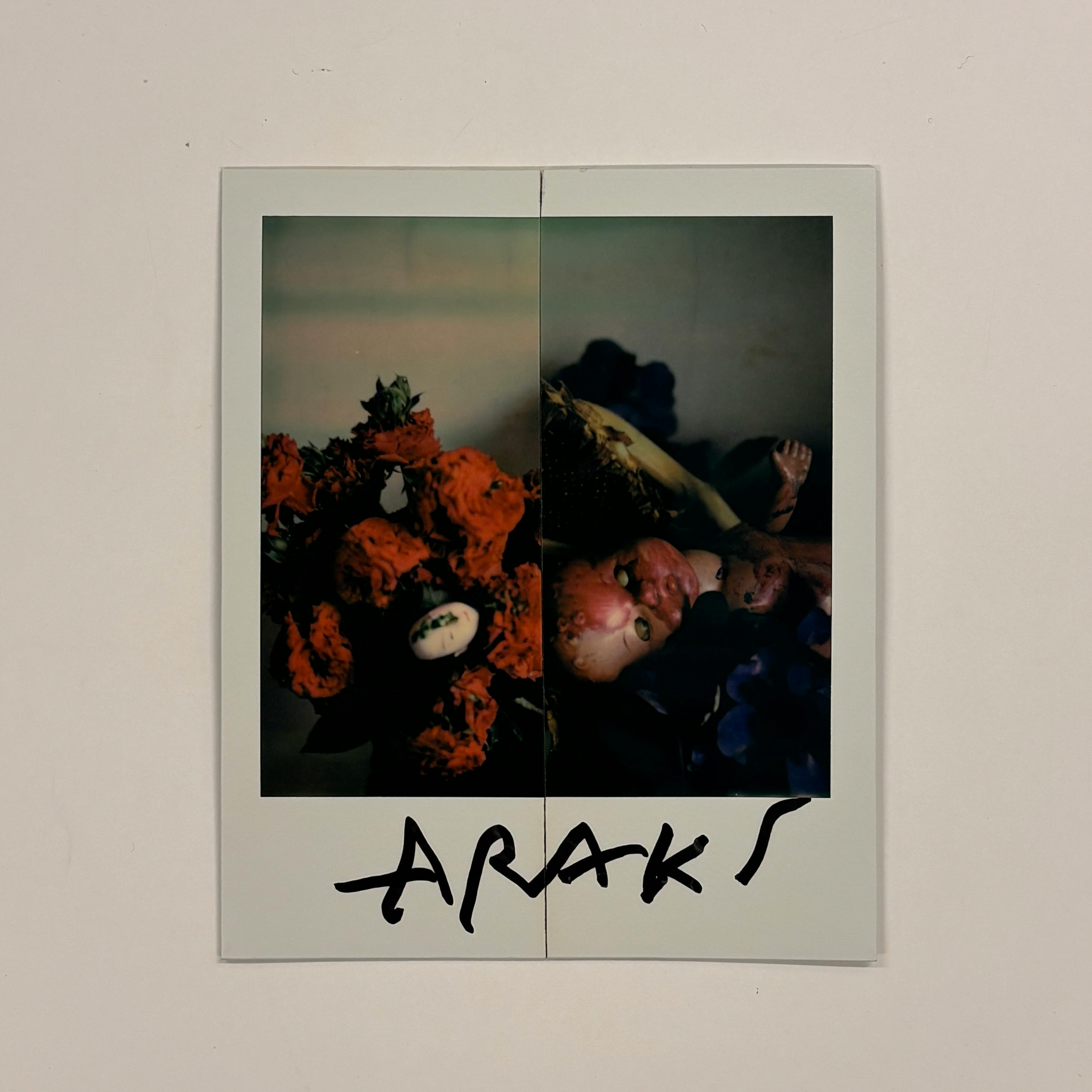 【荒木経惟/サイン入り】Polaroid collage
