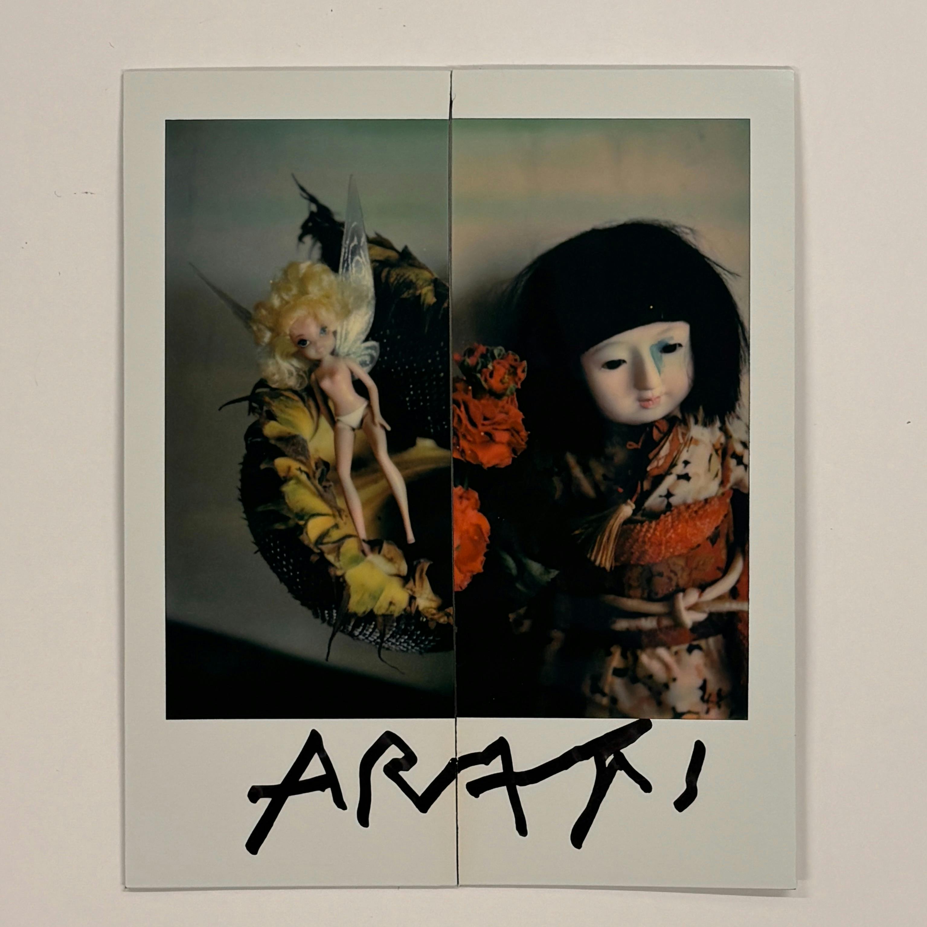 【荒木経惟/サイン入り】Polaroid collage