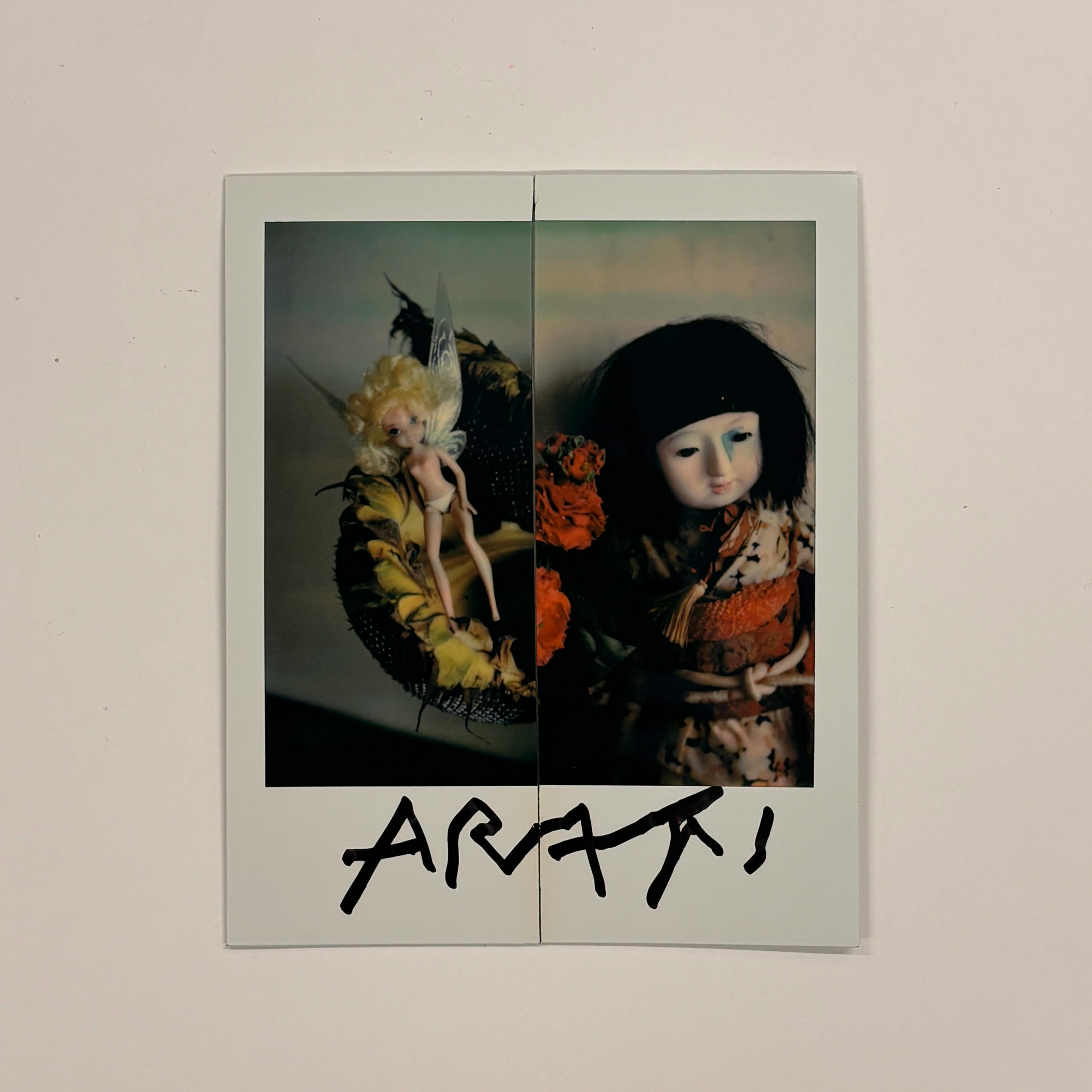 【荒木経惟/サイン入り】Polaroid collage