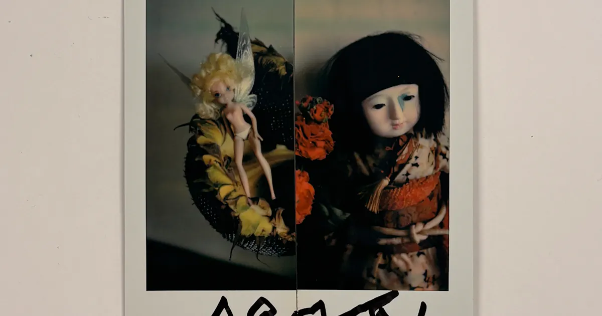 荒木経惟/サイン入り】Polaroid collage | OIL - 現代アート・絵画の 荒木経惟/サイン入り】Polaroid collage | OIL - 現代アート・絵画の