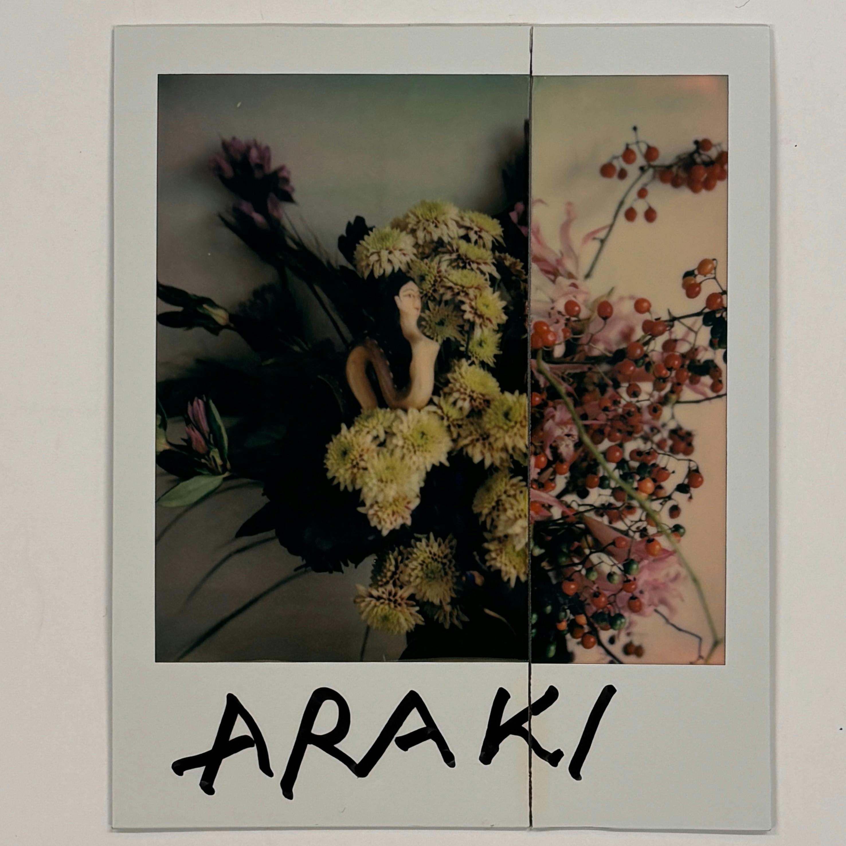 【荒木経惟/サイン入り】Polaroid collage