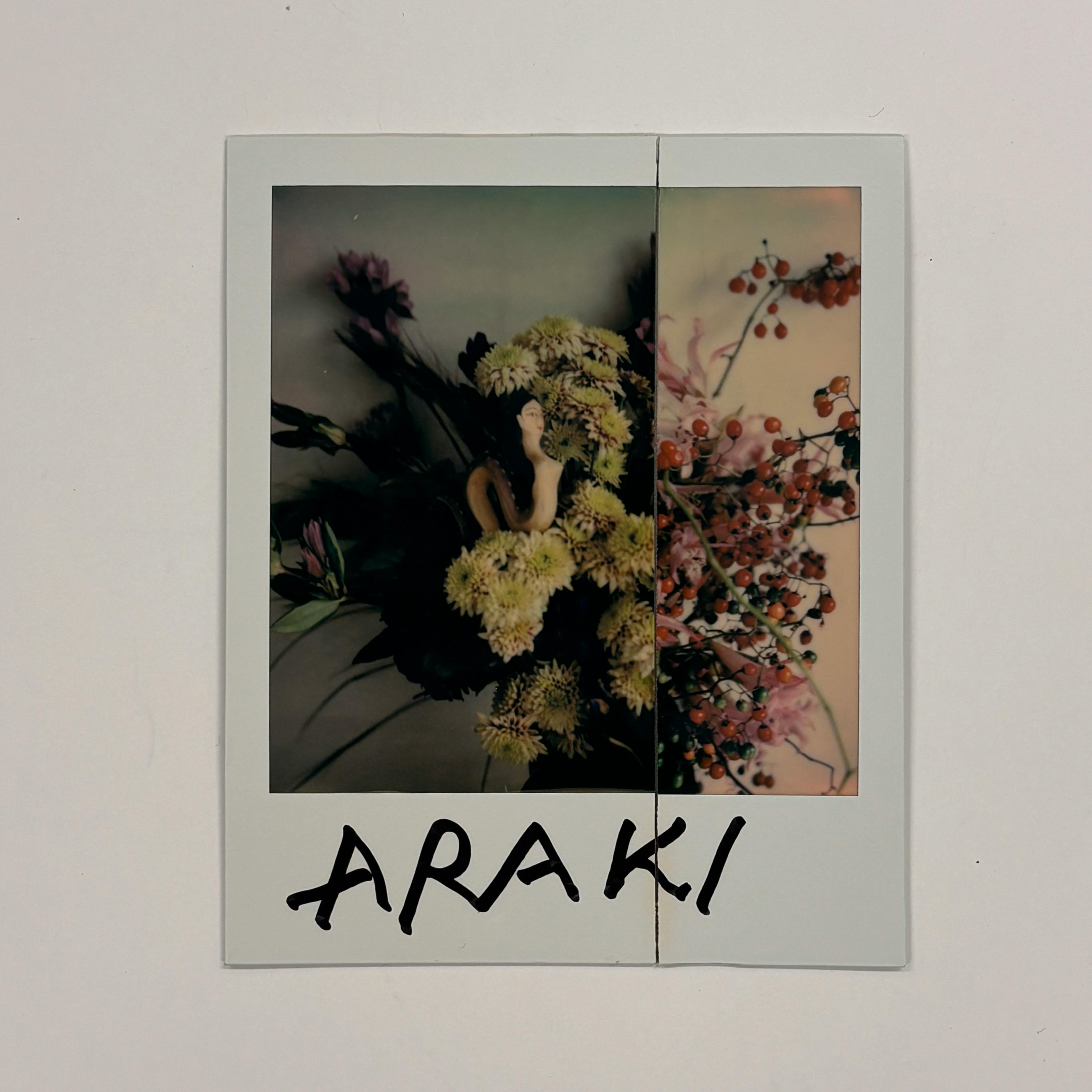 【荒木経惟/サイン入り】Polaroid collage