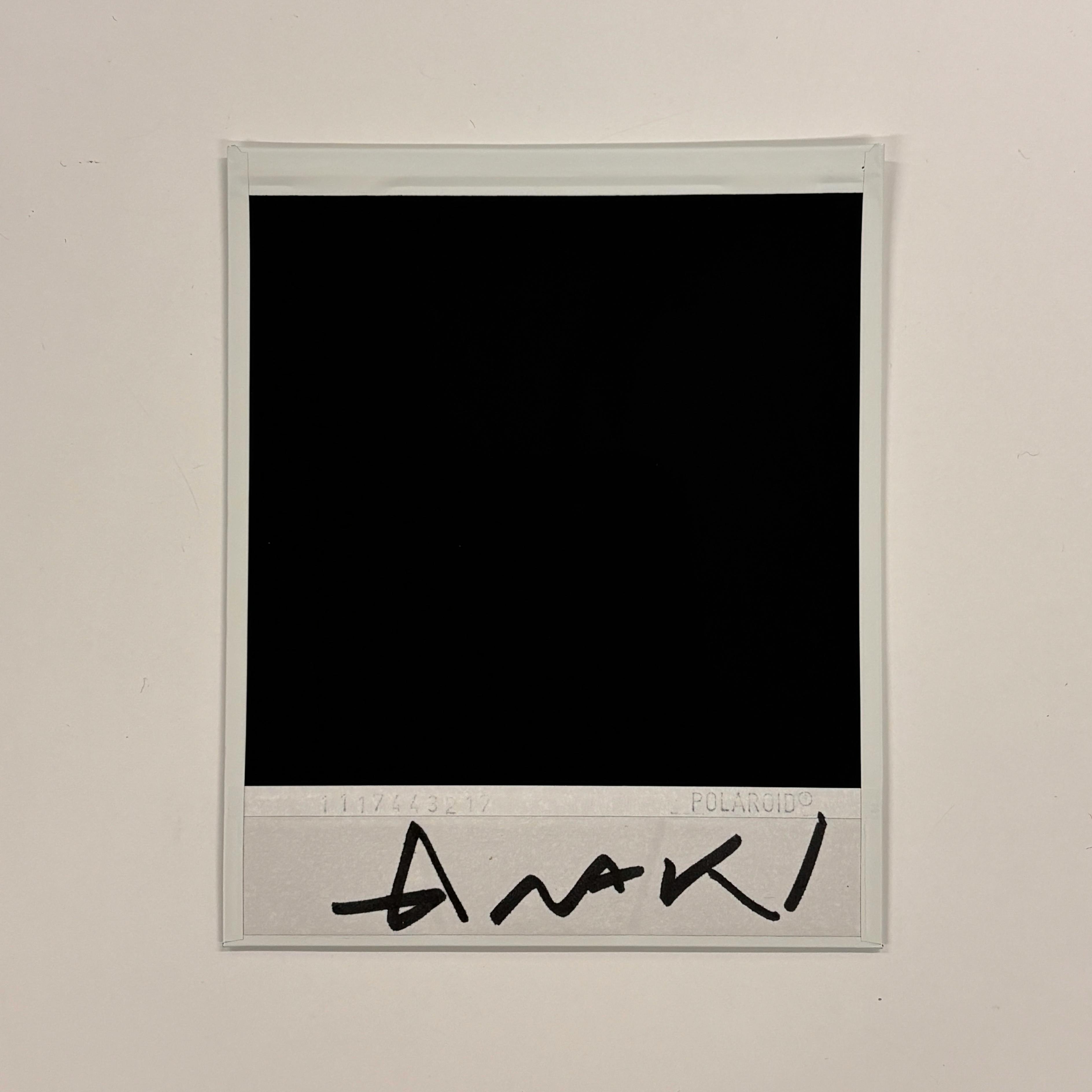 【荒木経惟/サイン入り】Polaroid