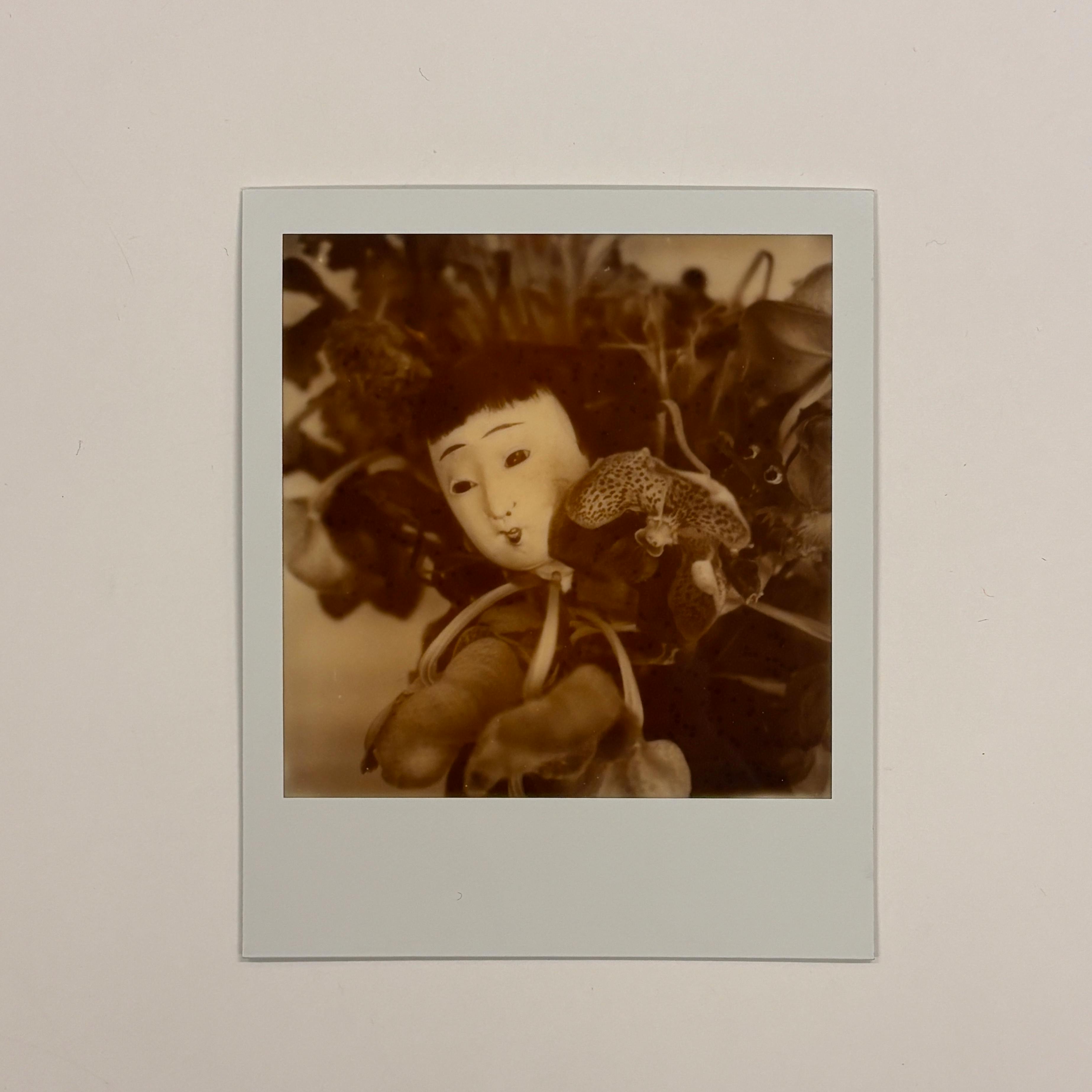 【荒木経惟/サイン入り】Polaroid