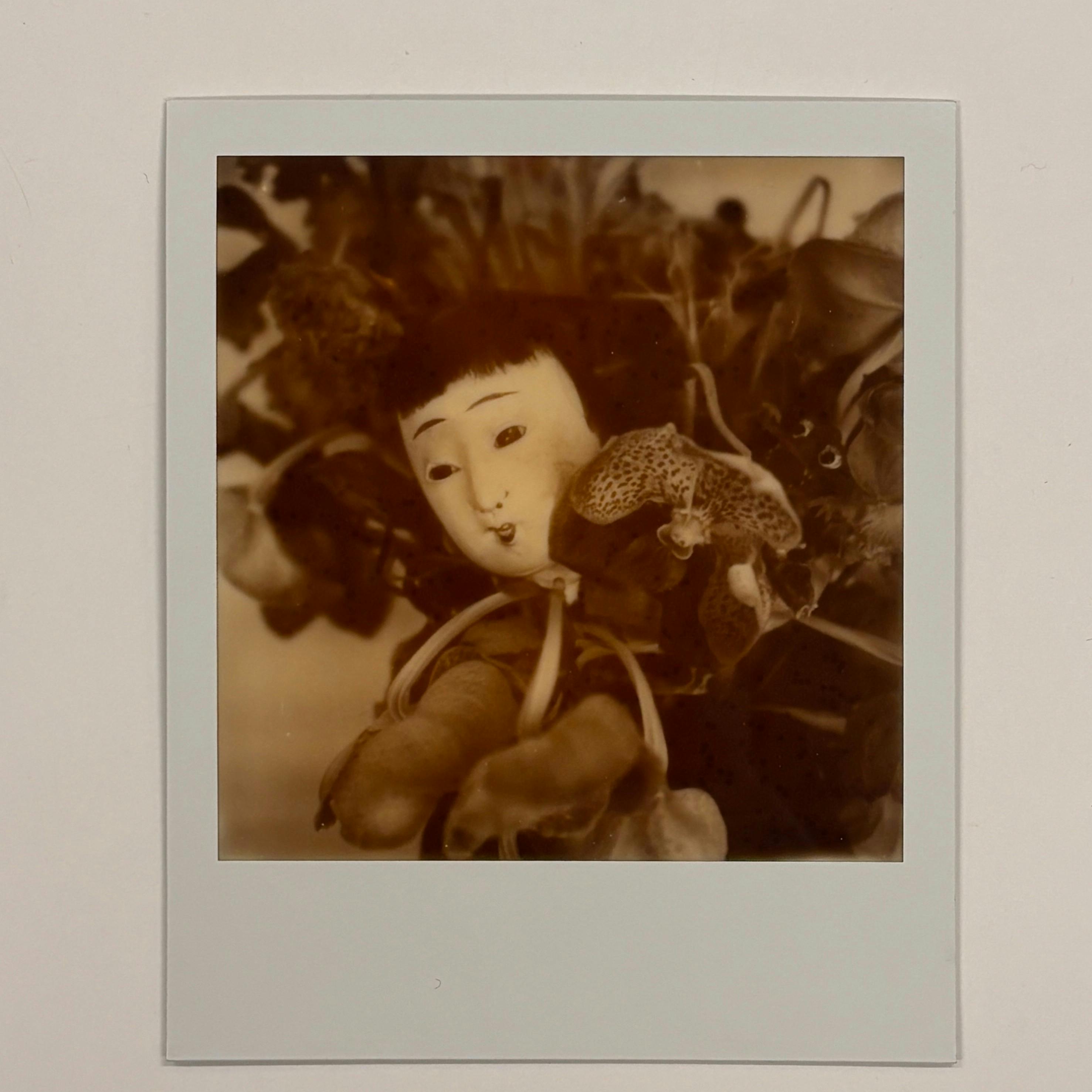 【荒木経惟/サイン入り】Polaroid