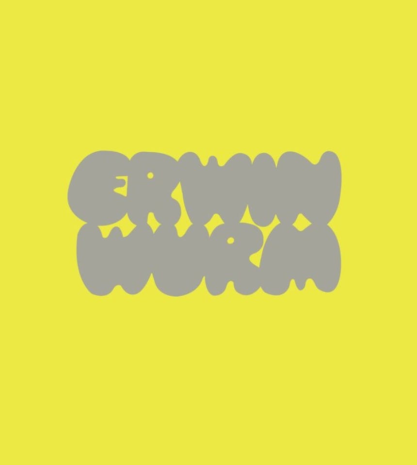 Erwin Wurm: Erwin Wurm