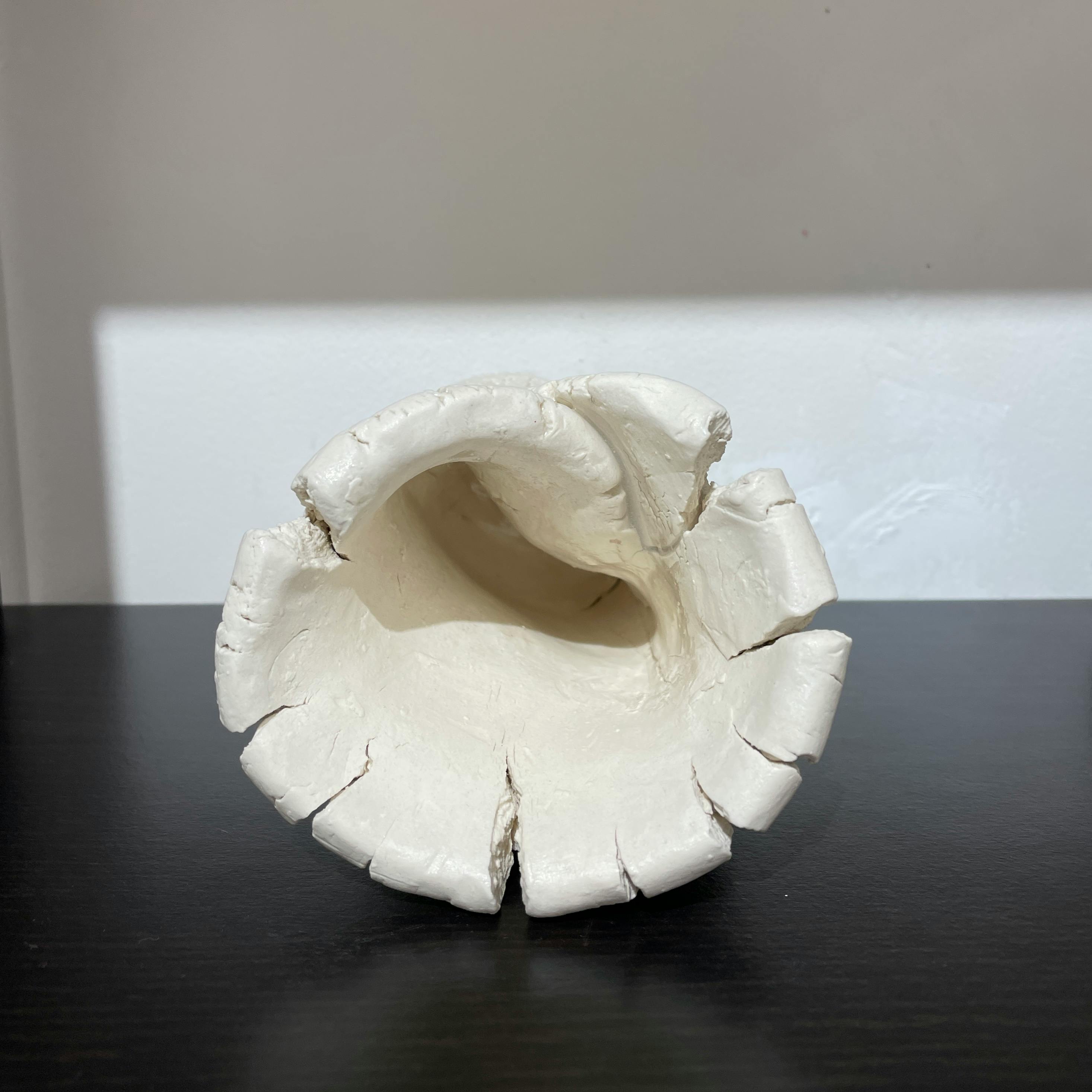 森田 智仁 Cracked Bloom Vase - S