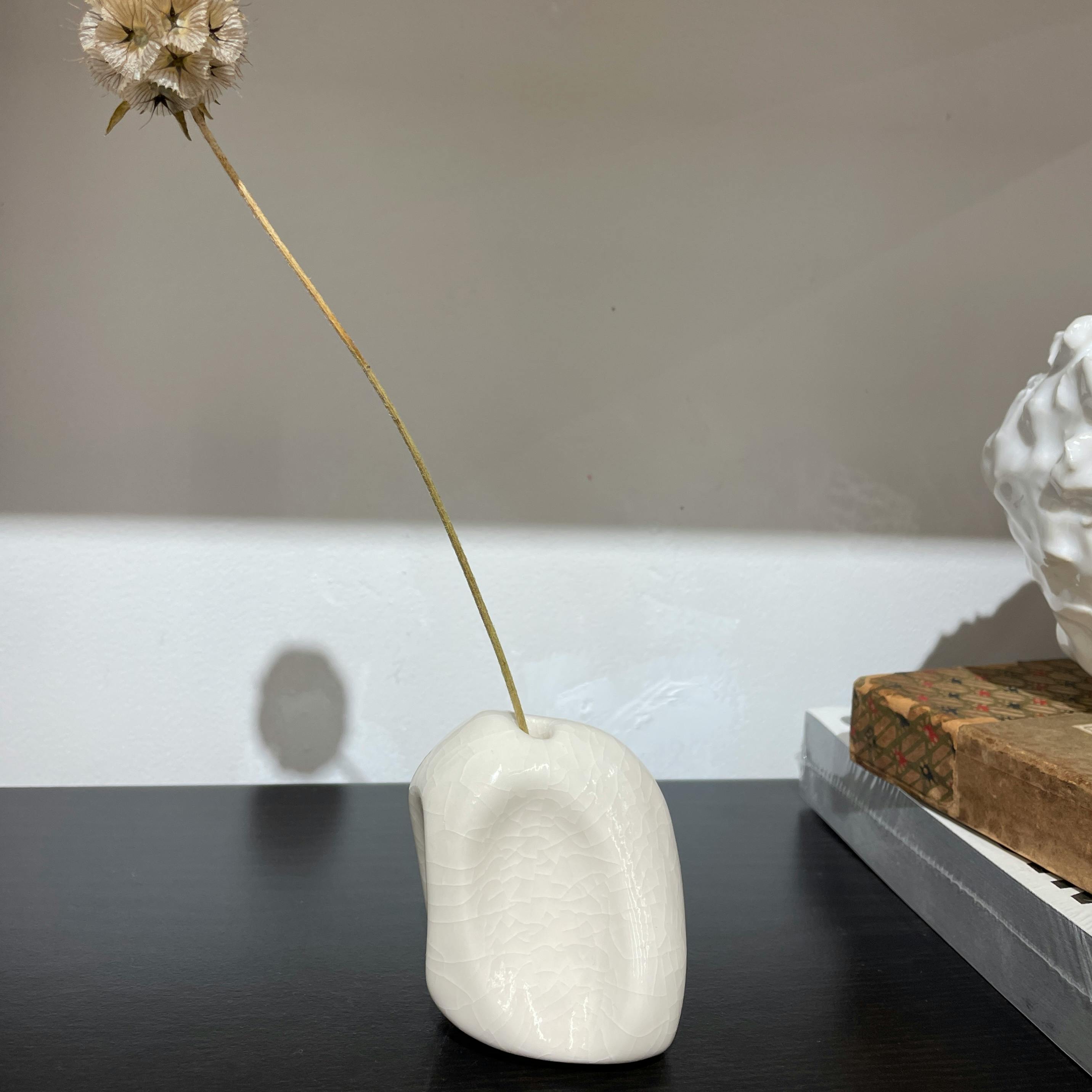 森田 智仁 Insert Object