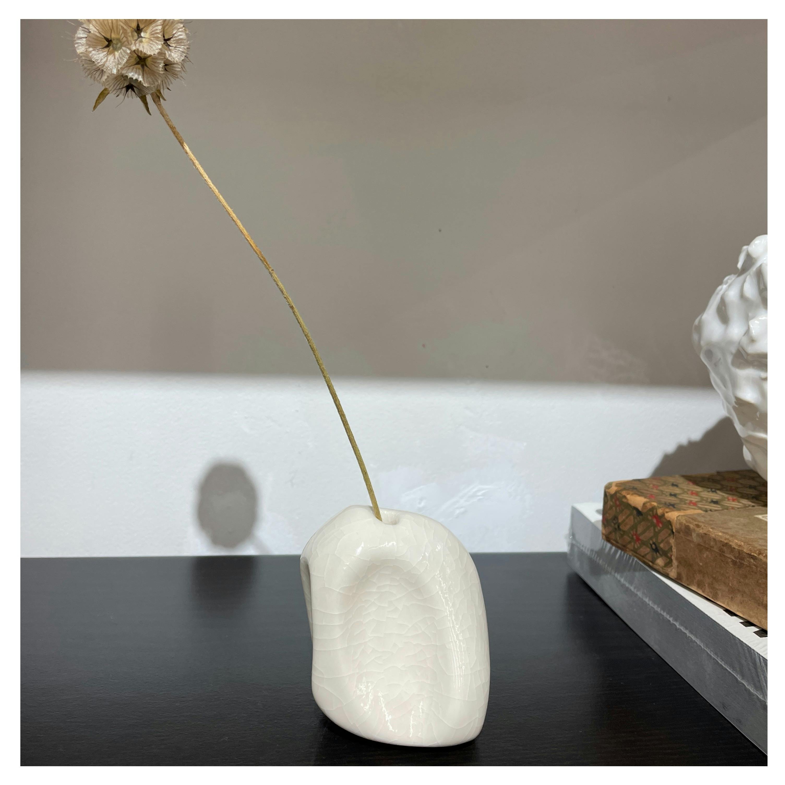 森田 智仁 Insert Object