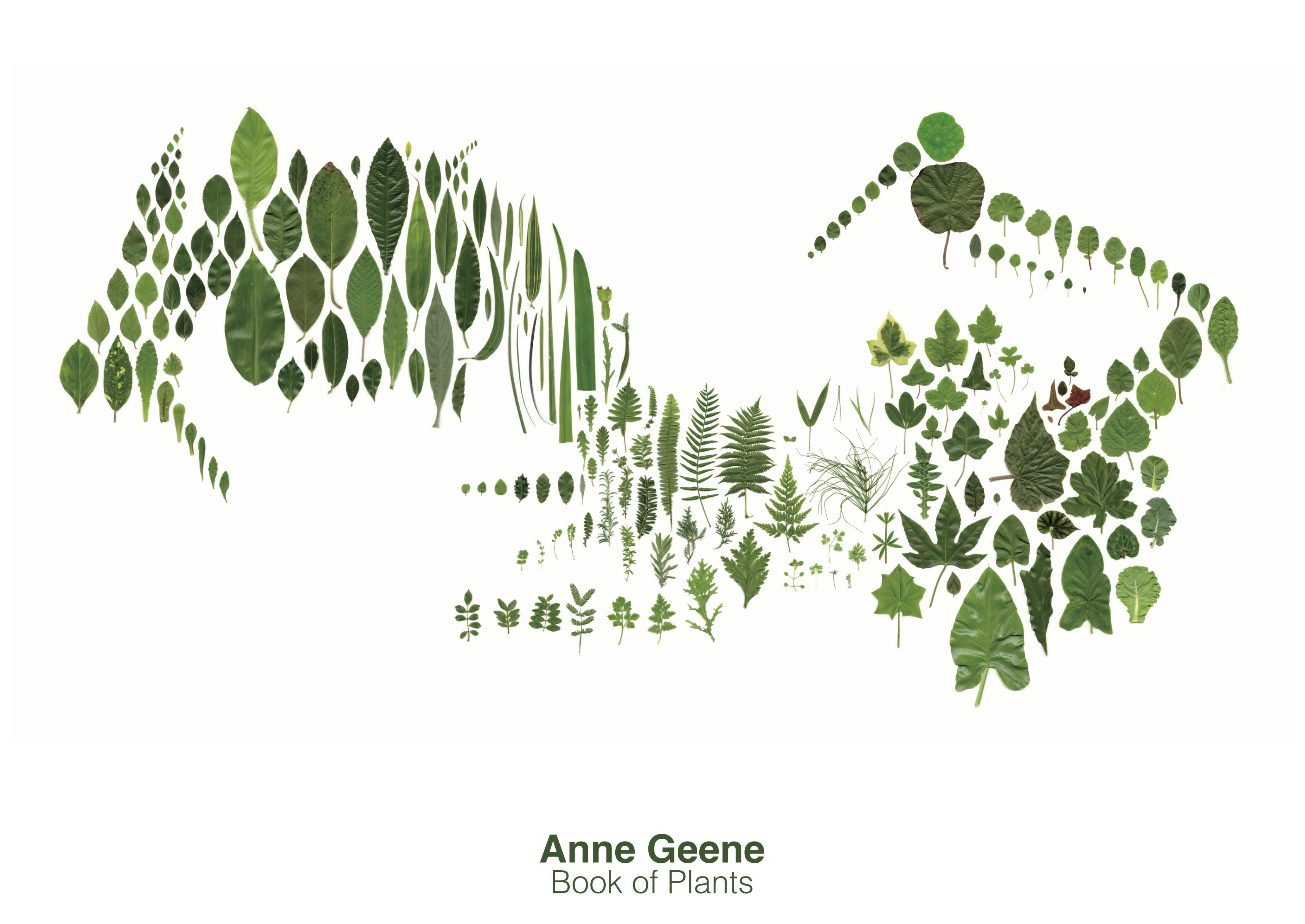 Anne Geene / ポスター (シートのみ)