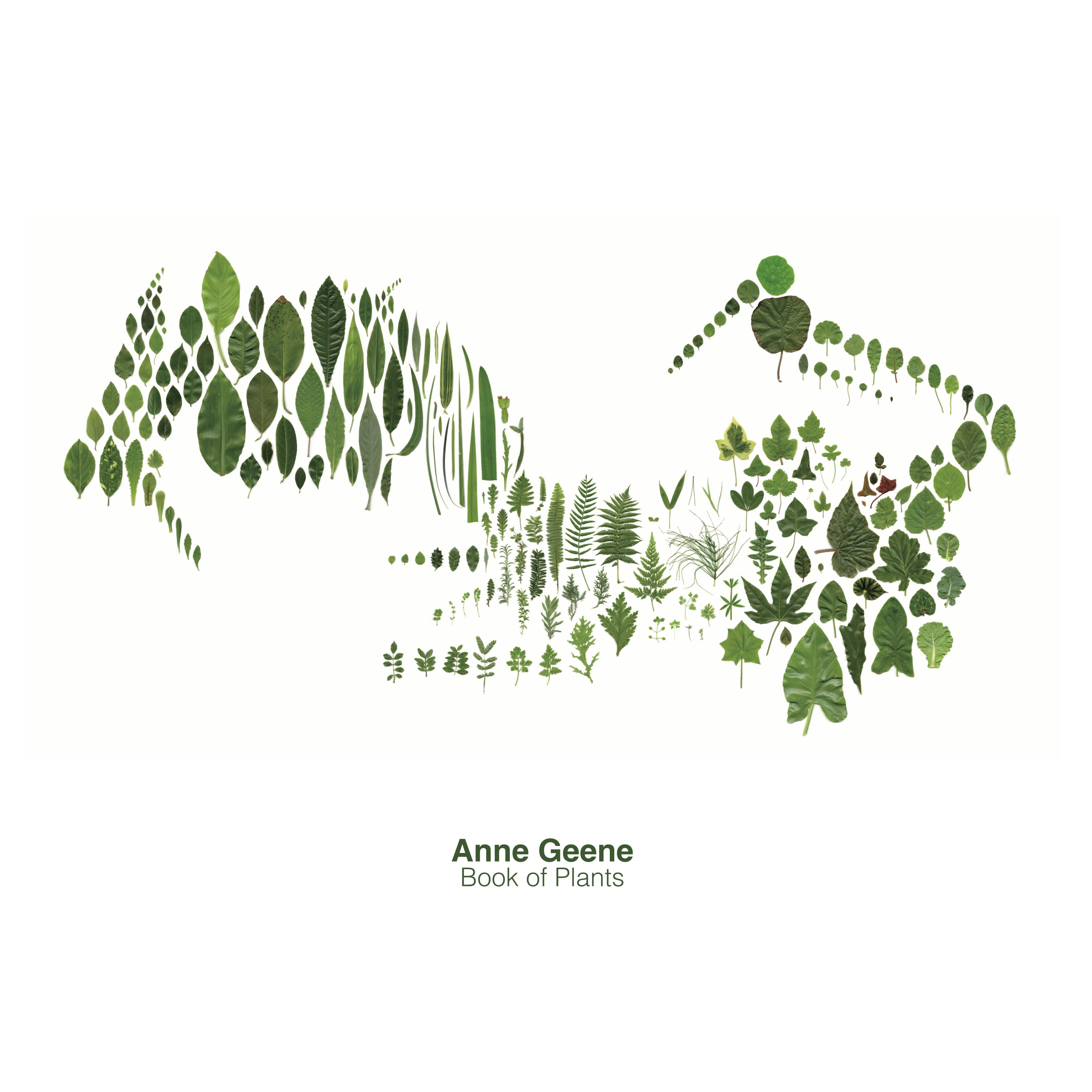 Anne Geene / ポスター (シートのみ)