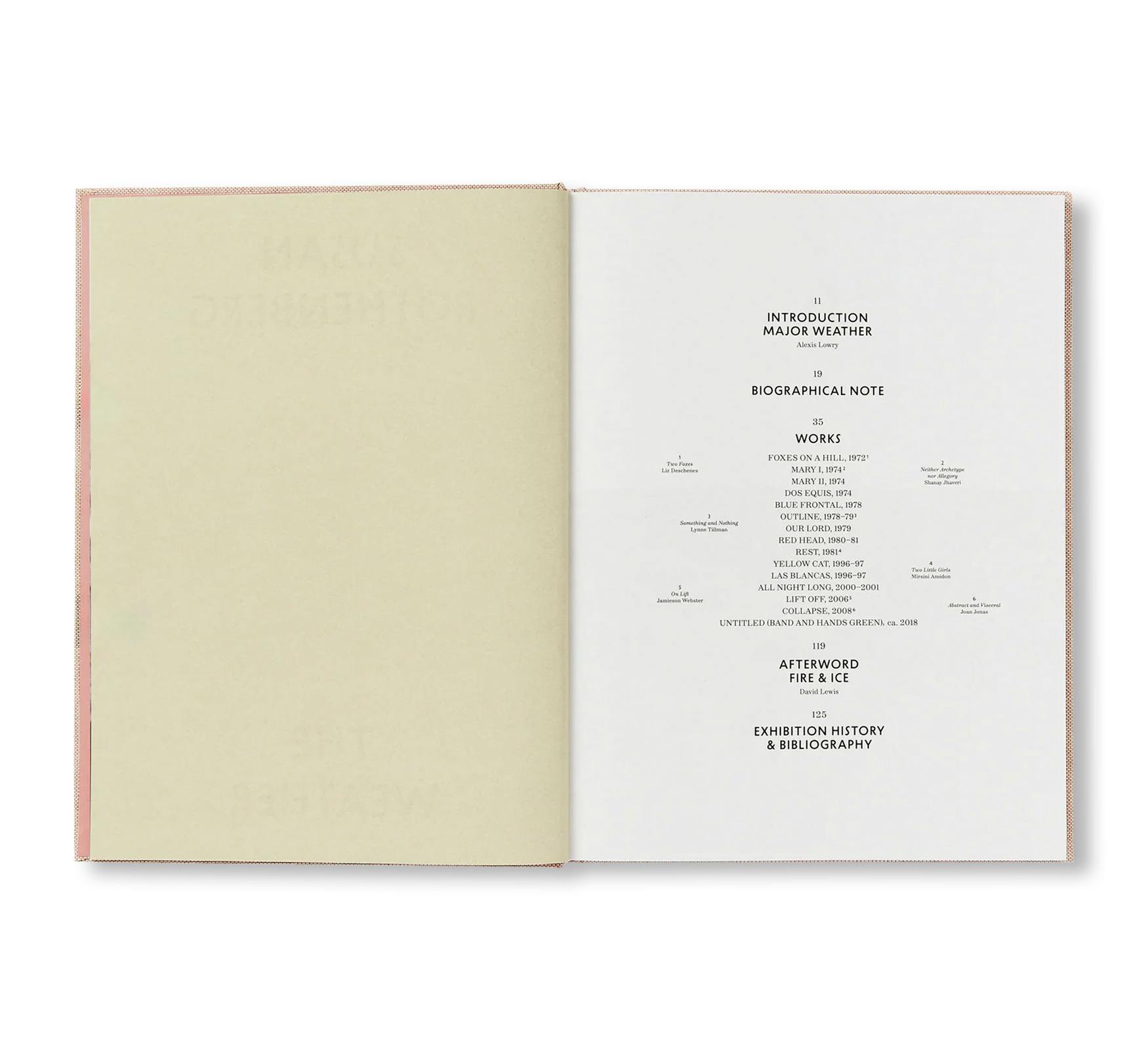 SUSAN ROTHENBERG: THE WEATHER