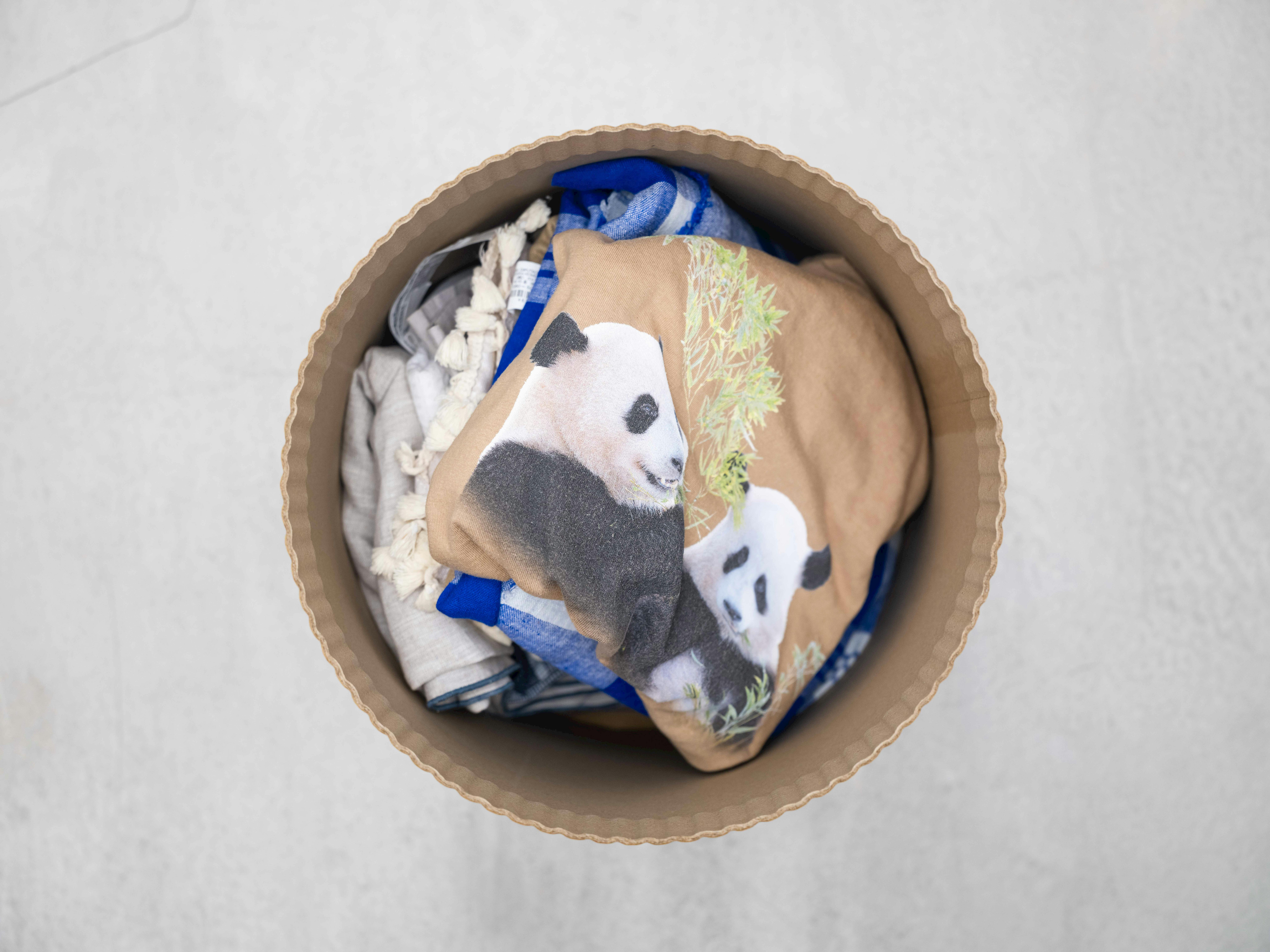 PLAY HAKO Collaboration <my panda>