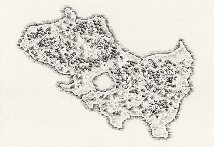 キニオロ島｜the Kinioro Island