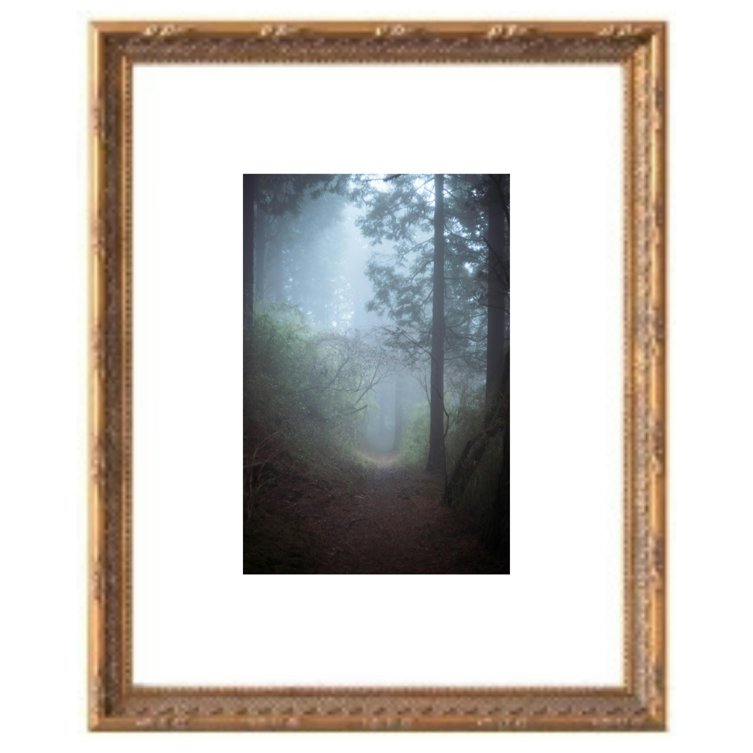 【額装】森への入口 / The Forest Gate