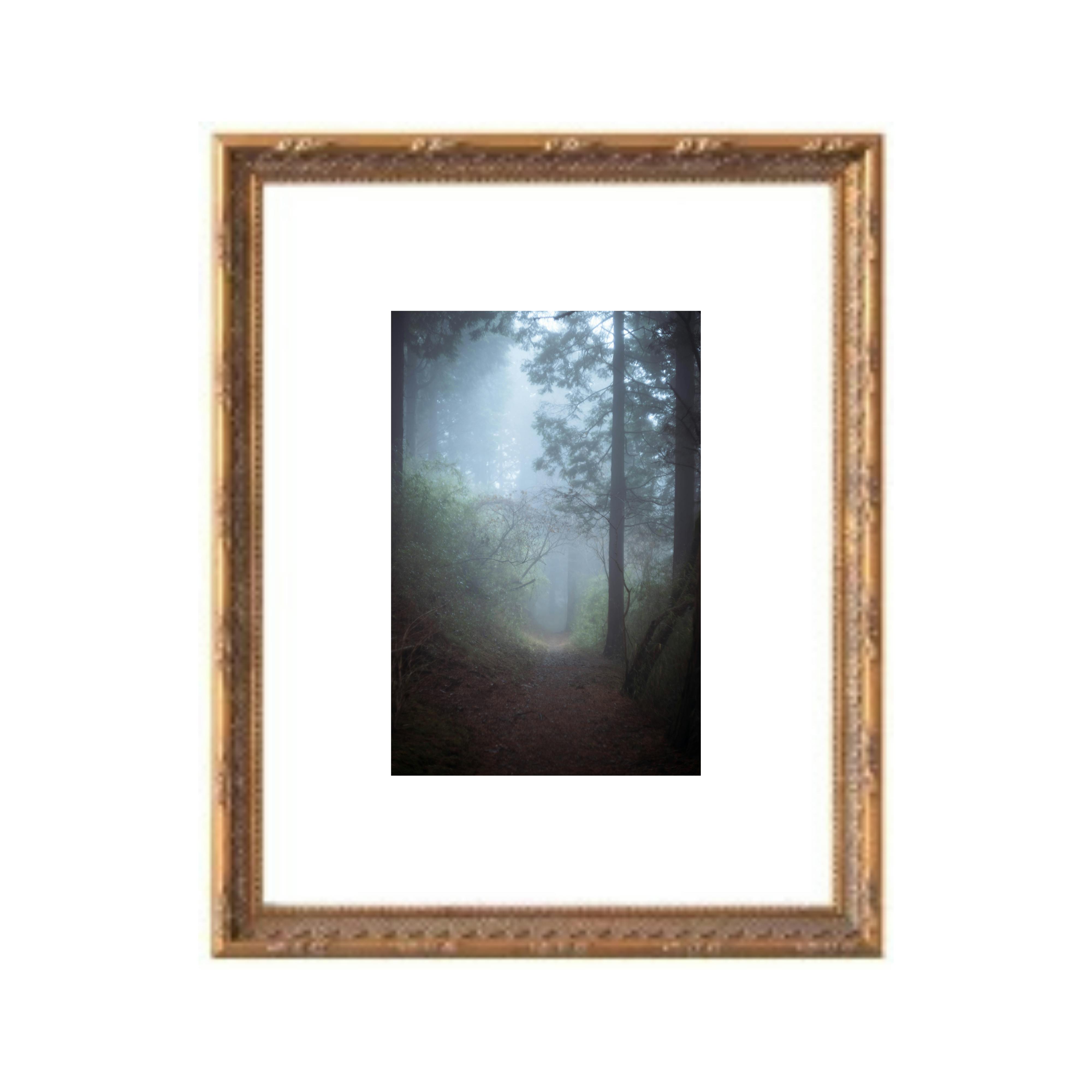 【額装】森への入口 / The Forest Gate