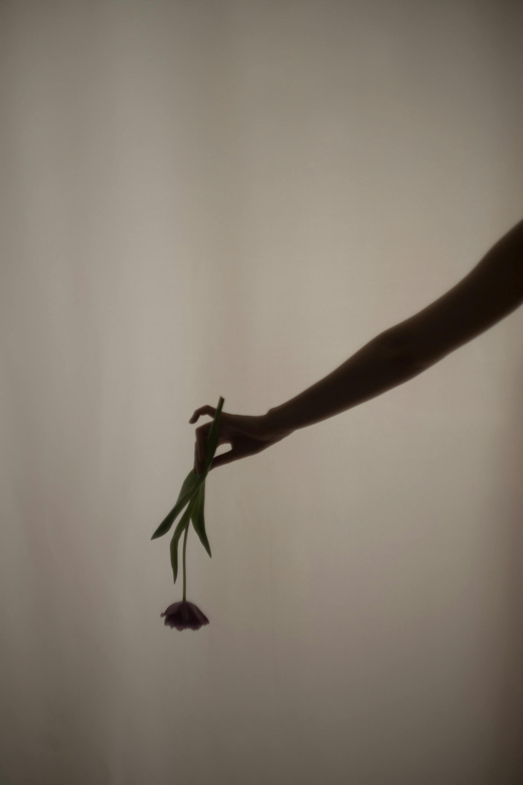 写真集『Scent of a…』