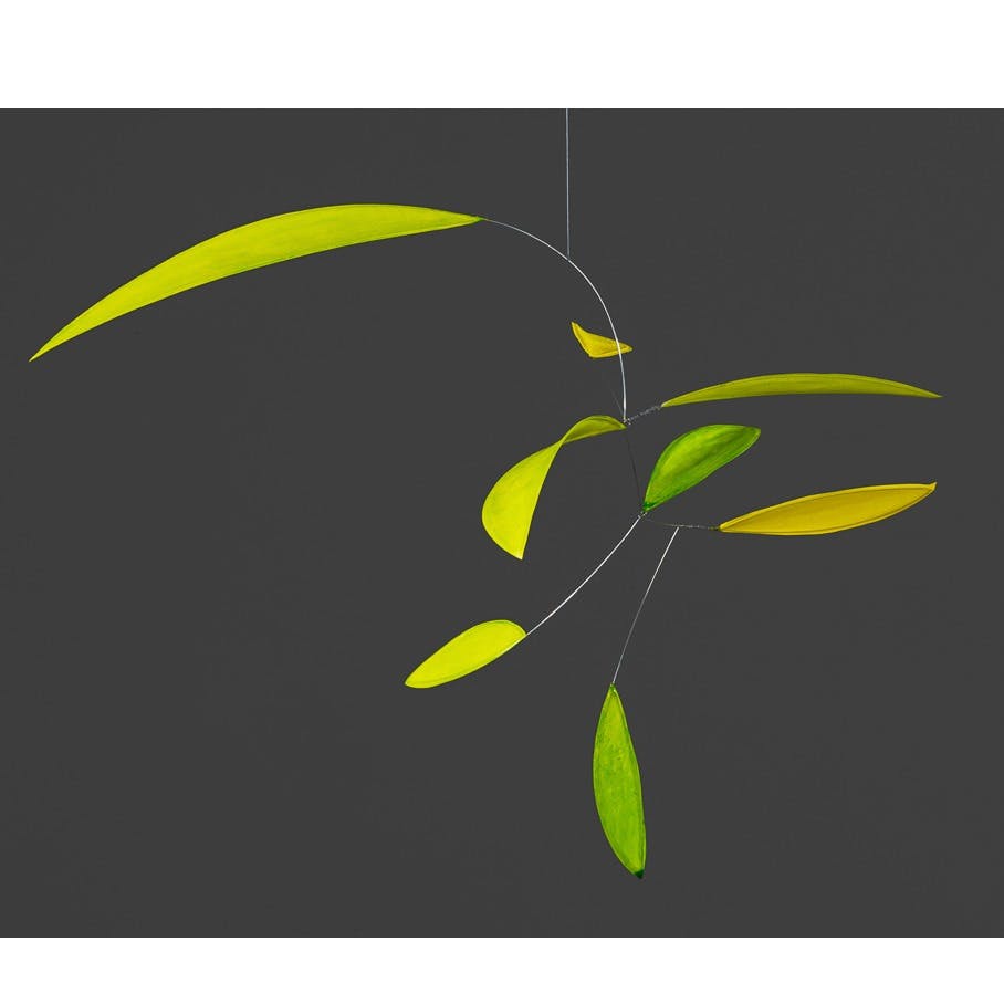 Little green leaf