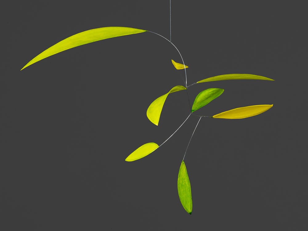 Little green leaf