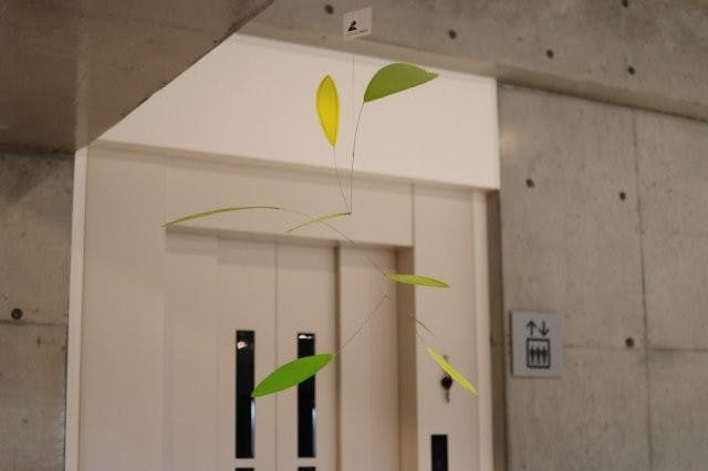 Little green leaf