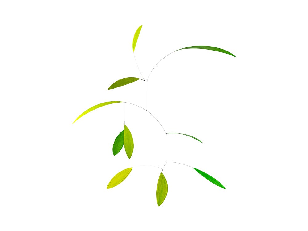 Little green leaf