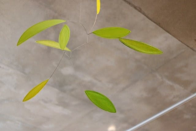 Little green leaf