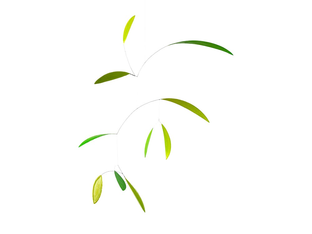 Green leaf