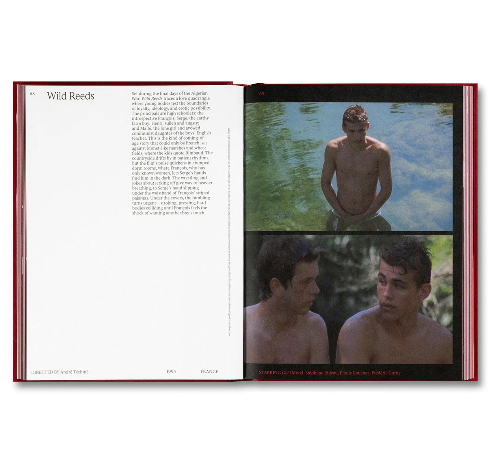 IN THE MOOD?: OVER 100 SENSUAL, EROTIC, AND DOWNRIGHT HORNY MOVIE RECOMMENDATIONS