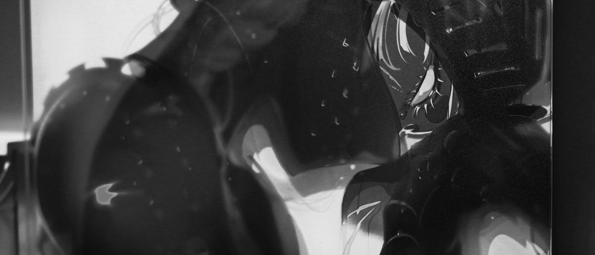 SKIN - HIDE