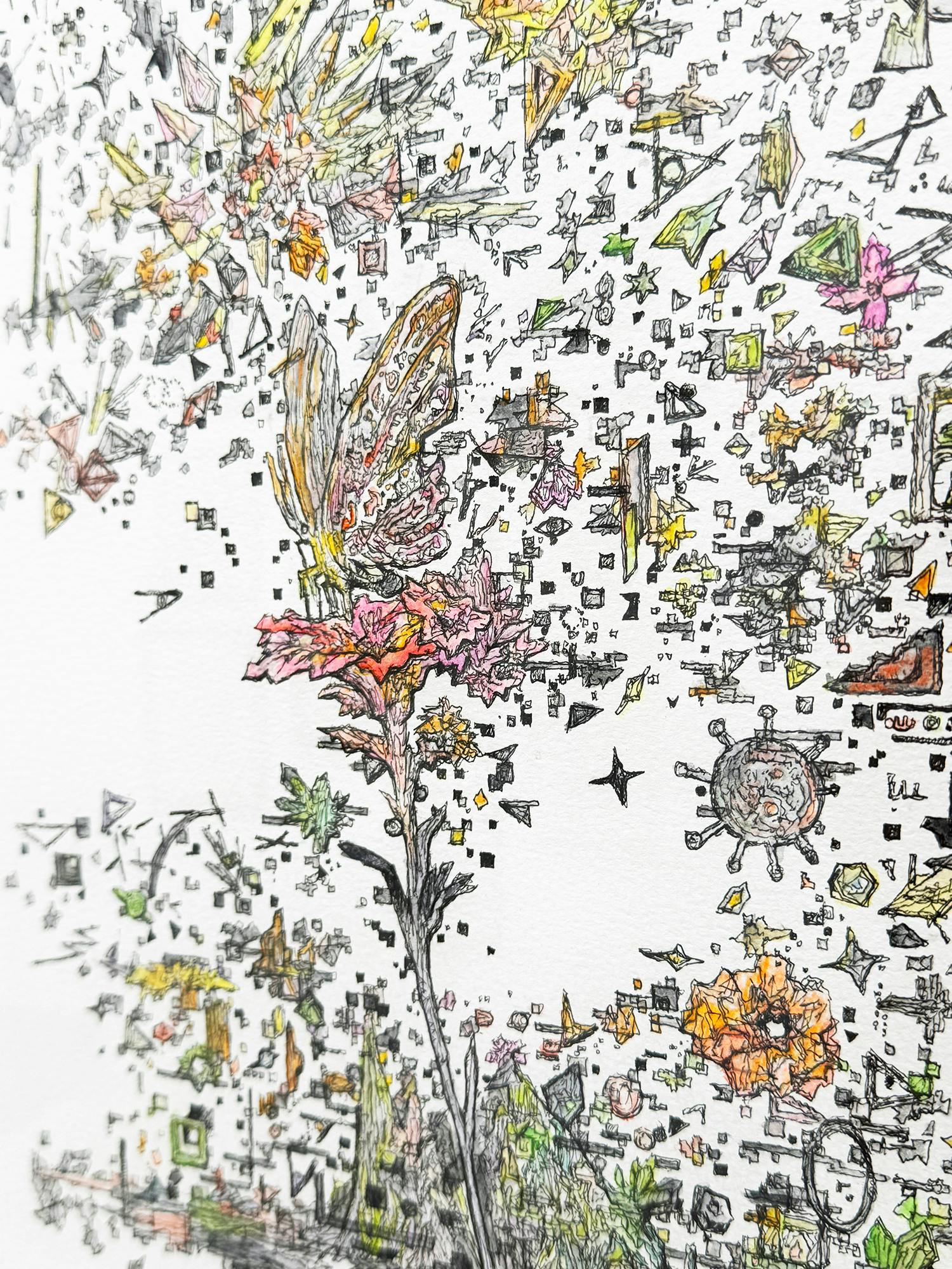 はこにわ-5