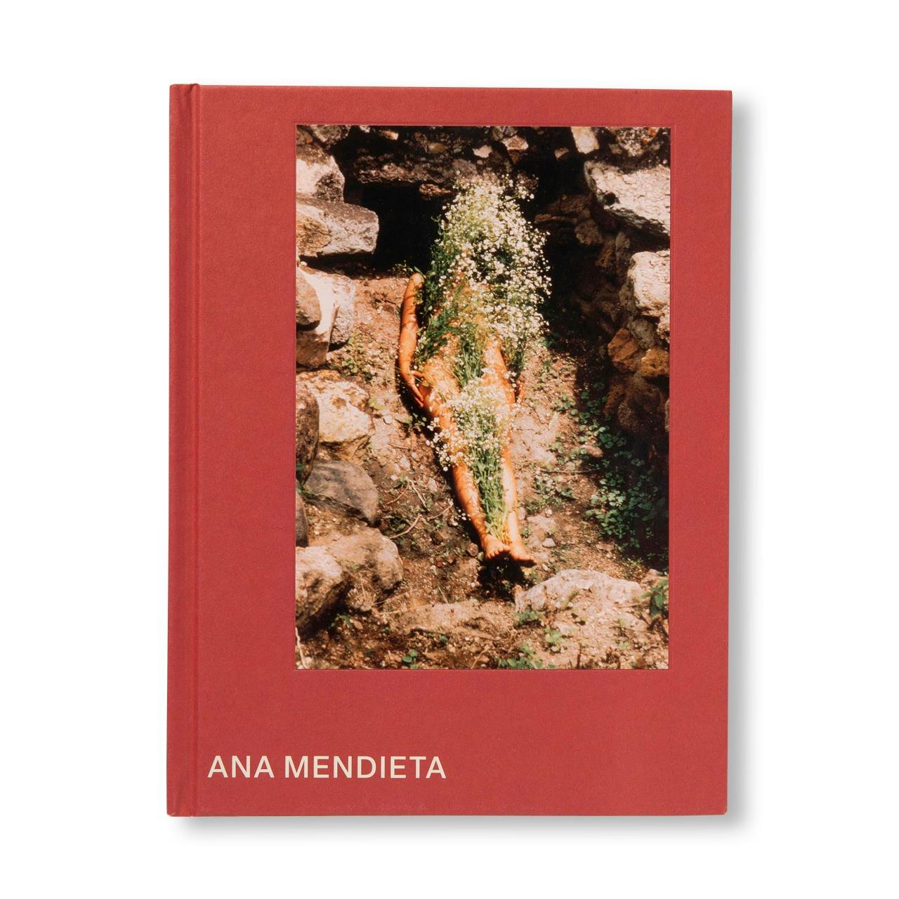 ANA MENDIETA (TATE PUBLISHING)