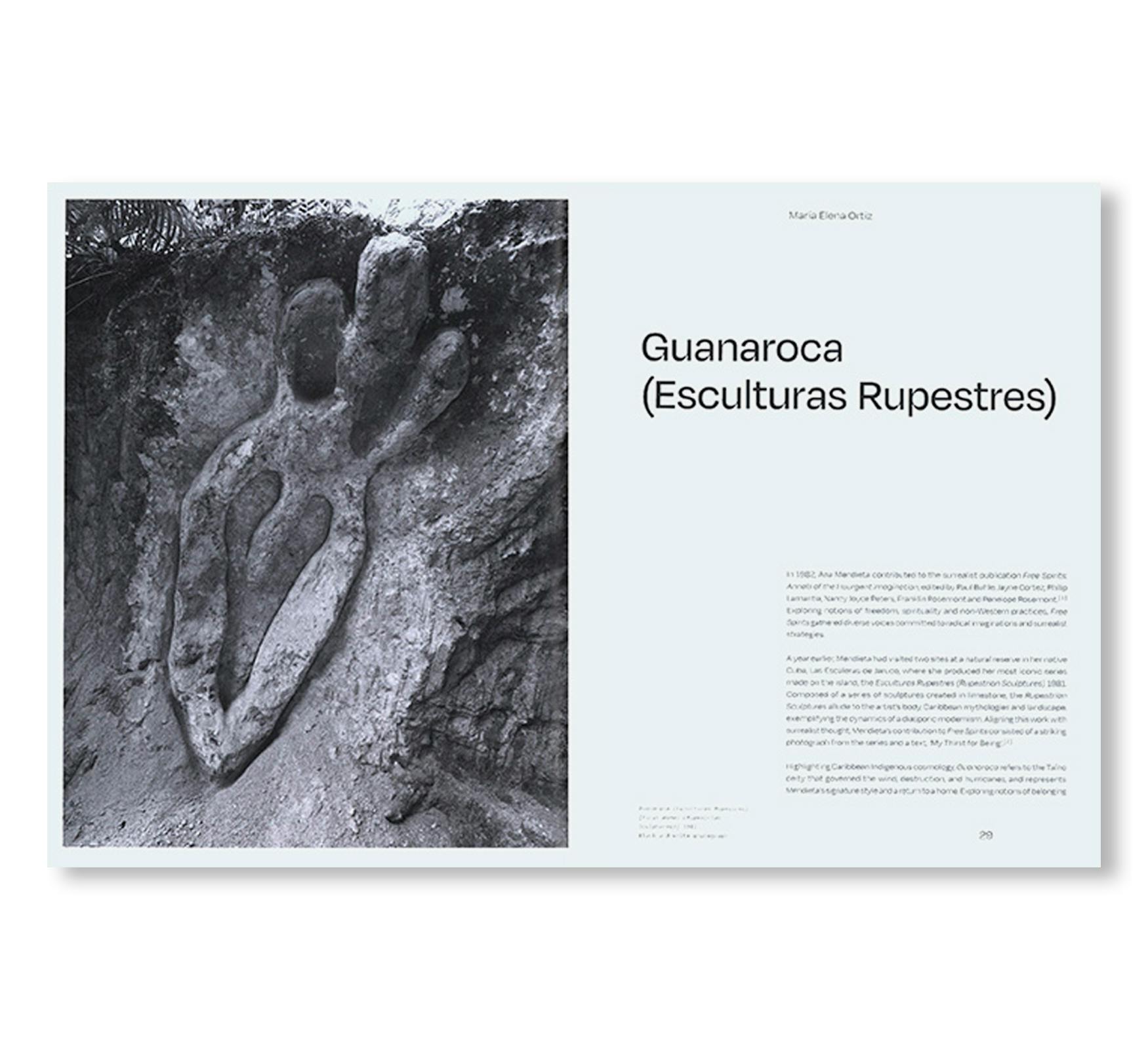 ANA MENDIETA (TATE PUBLISHING)