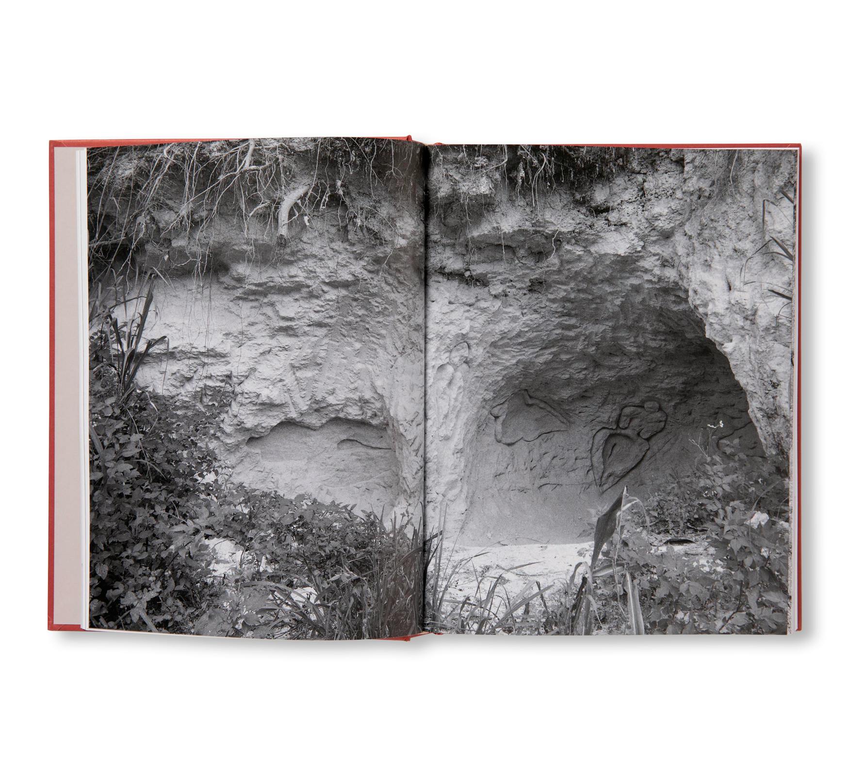 ANA MENDIETA (TATE PUBLISHING)