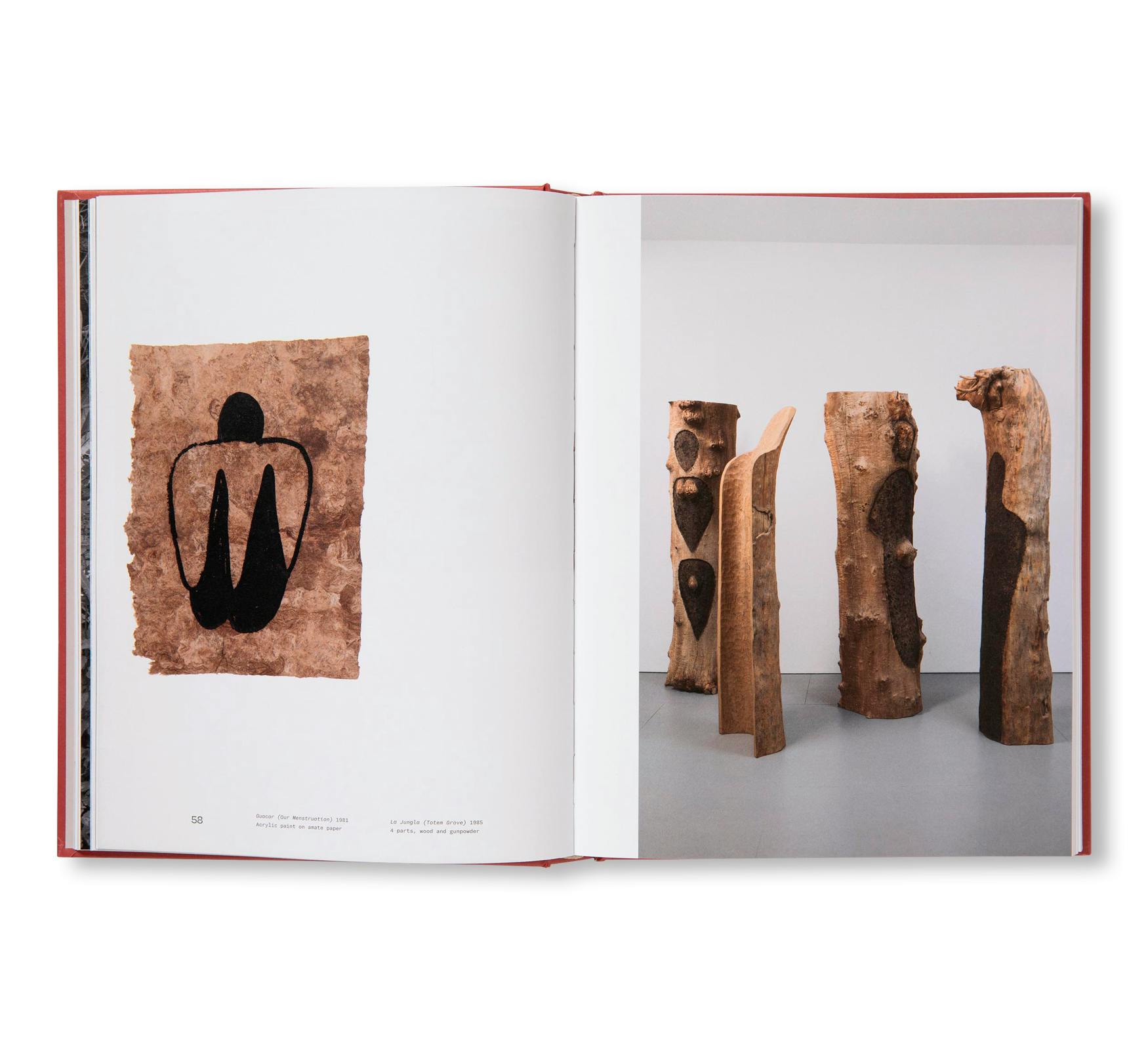 ANA MENDIETA (TATE PUBLISHING)