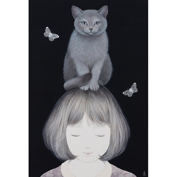 灰猫