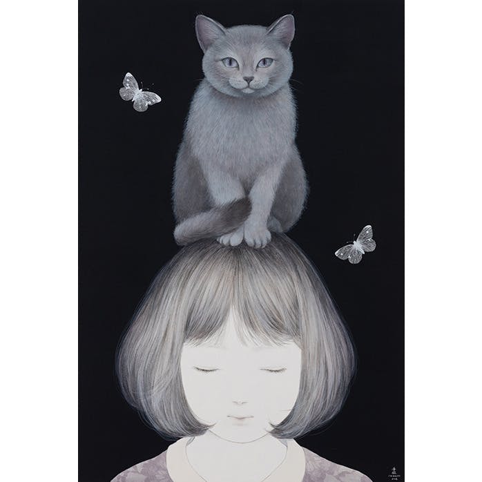 灰猫