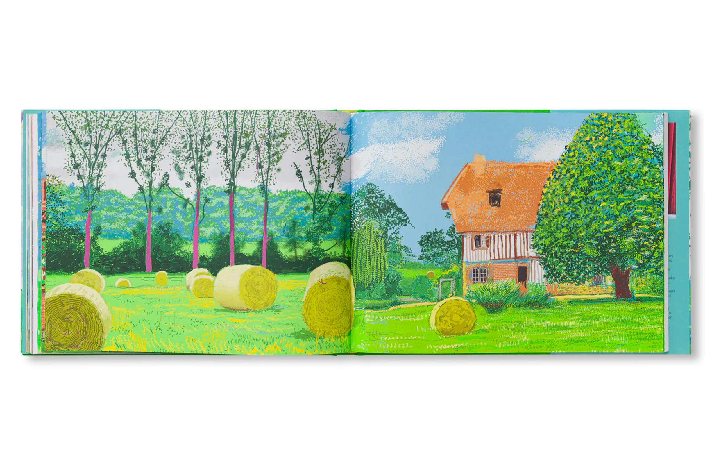 DAVID HOCKNEY: A YEAR IN NORMANDIE AND SOME OTHER THOUGHTS ABOUT PAINTING