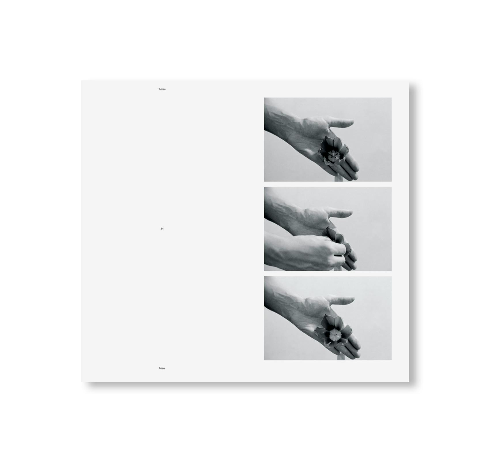HANDLUNGEN / ACTIONS