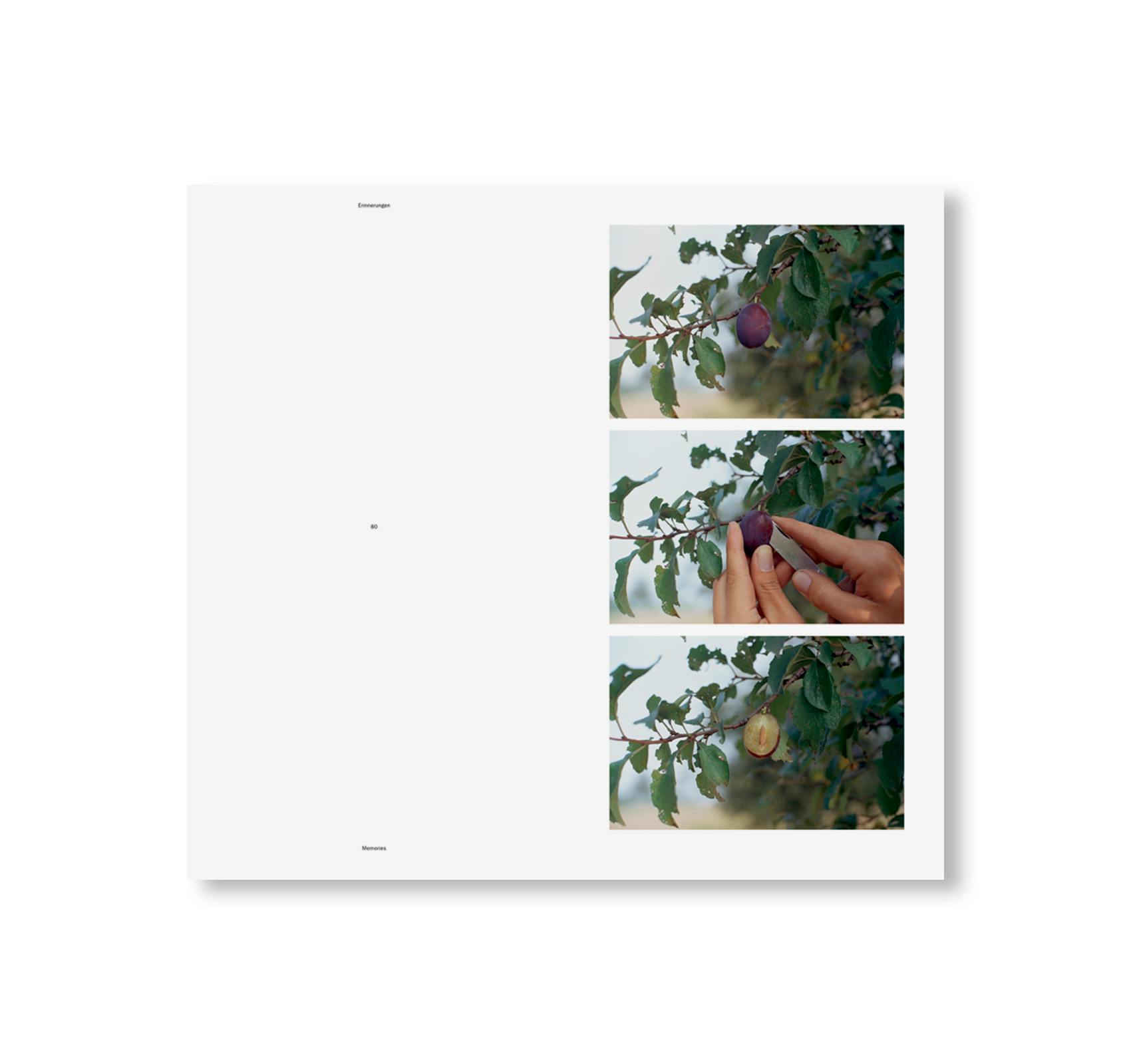 HANDLUNGEN / ACTIONS