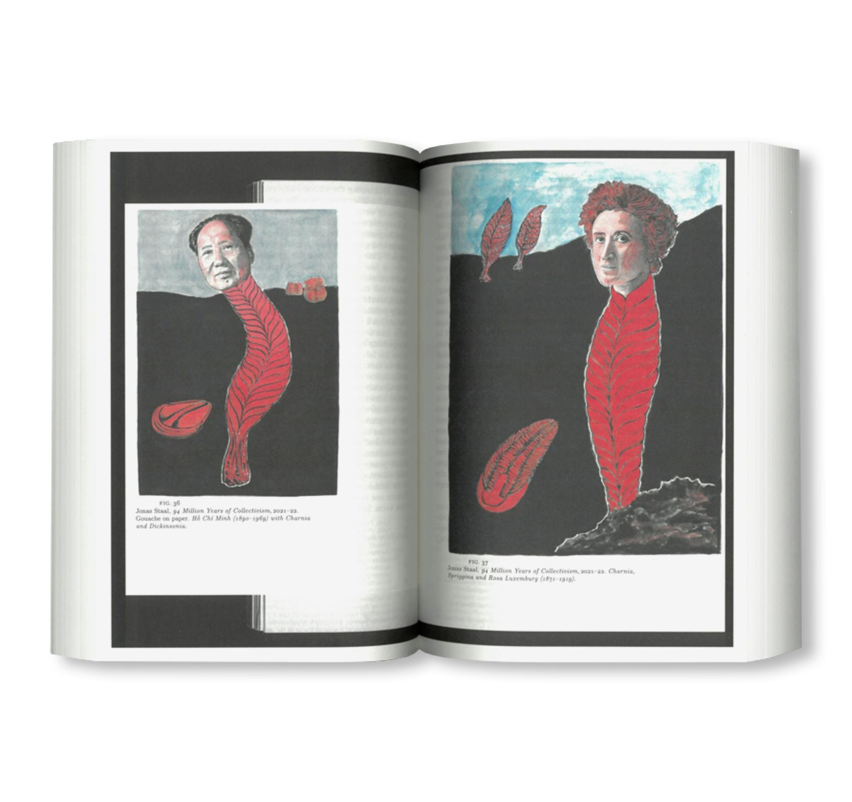 A BIOGRAPHY OF DAPHNE