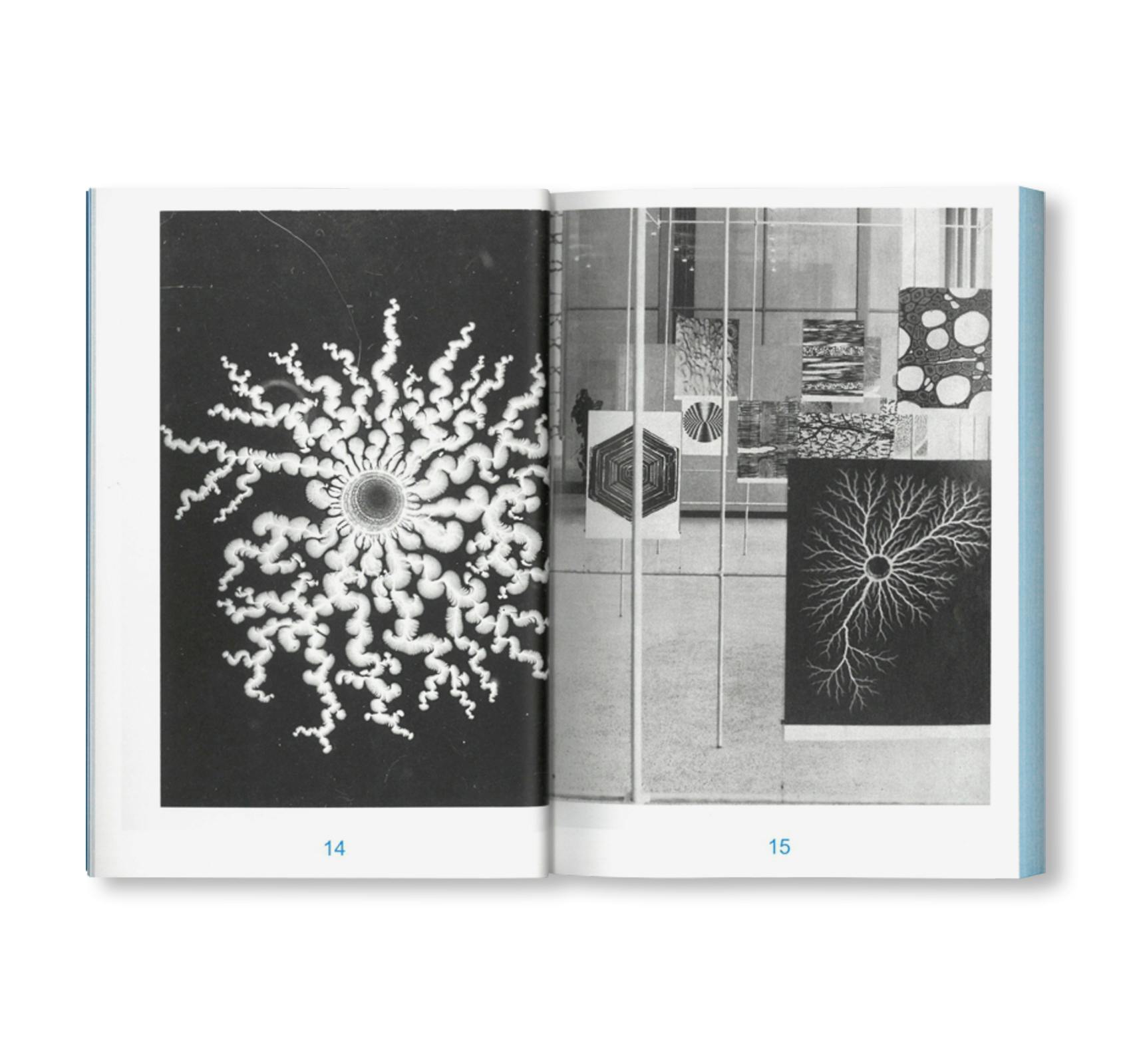 PEDAGOGIES OF MACHINE LEARNING - SCHOOLS OF DEPARTURE NO. 4