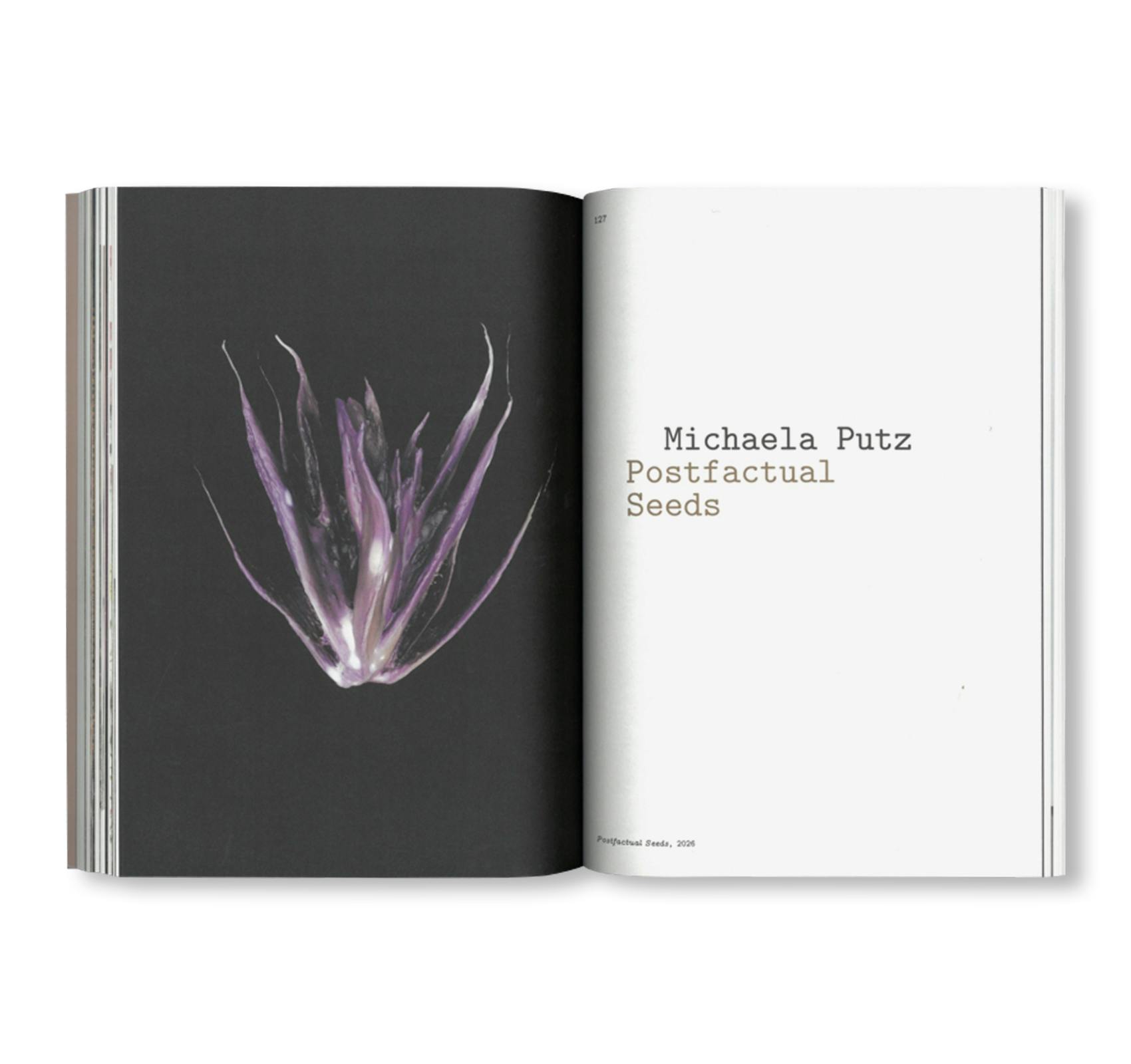 SEEDS - RECLAIMING ROOTS, SOWING FUTURES