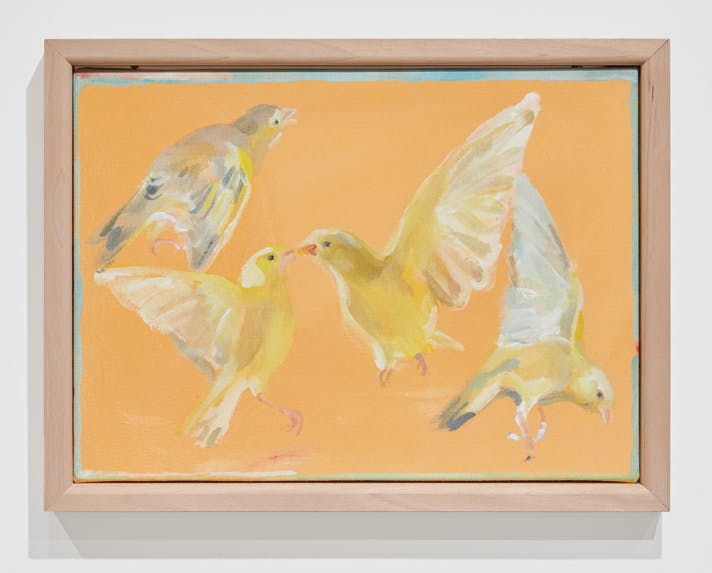 黄色い鳥