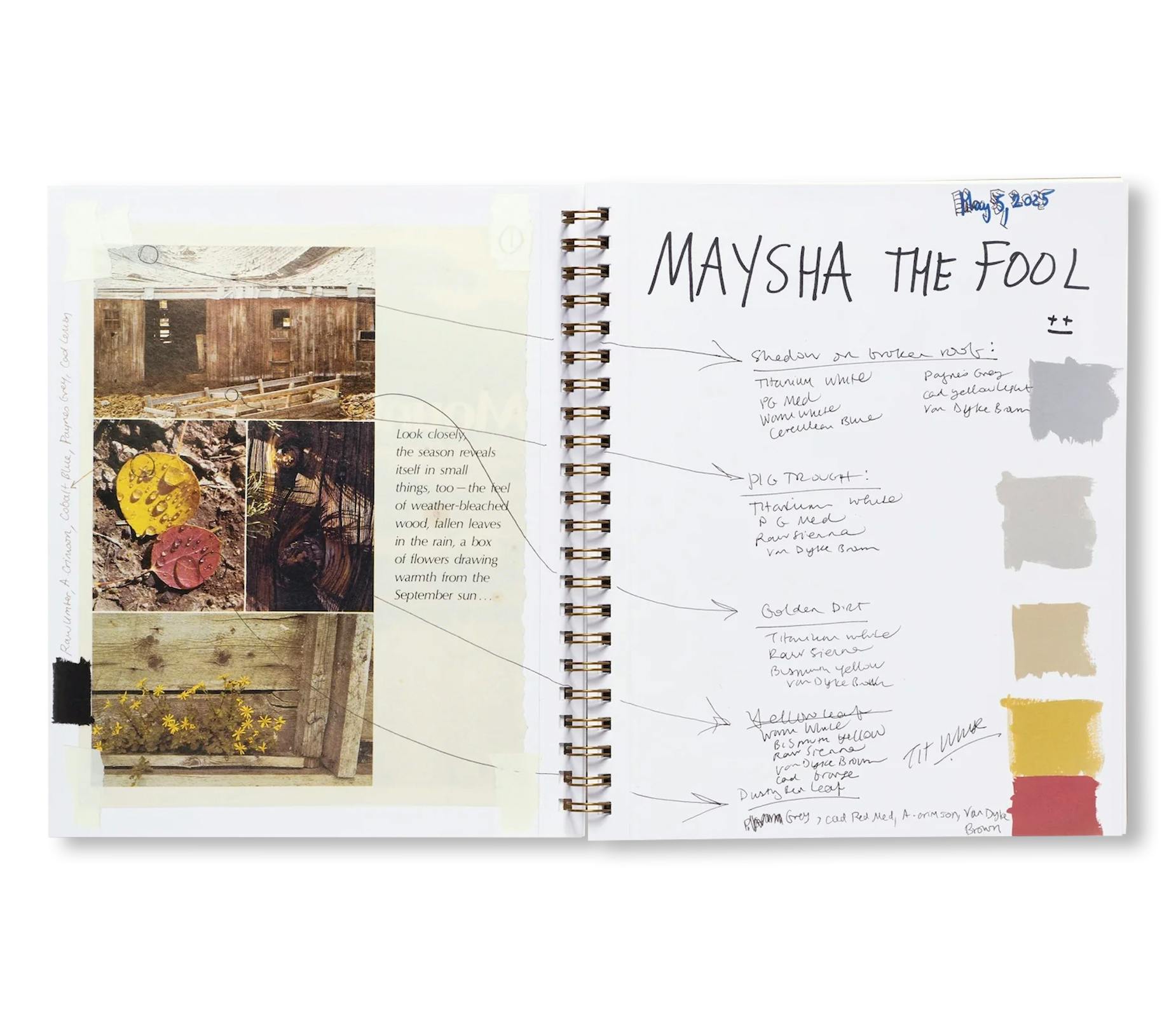 MAYSHA THE FOOL
