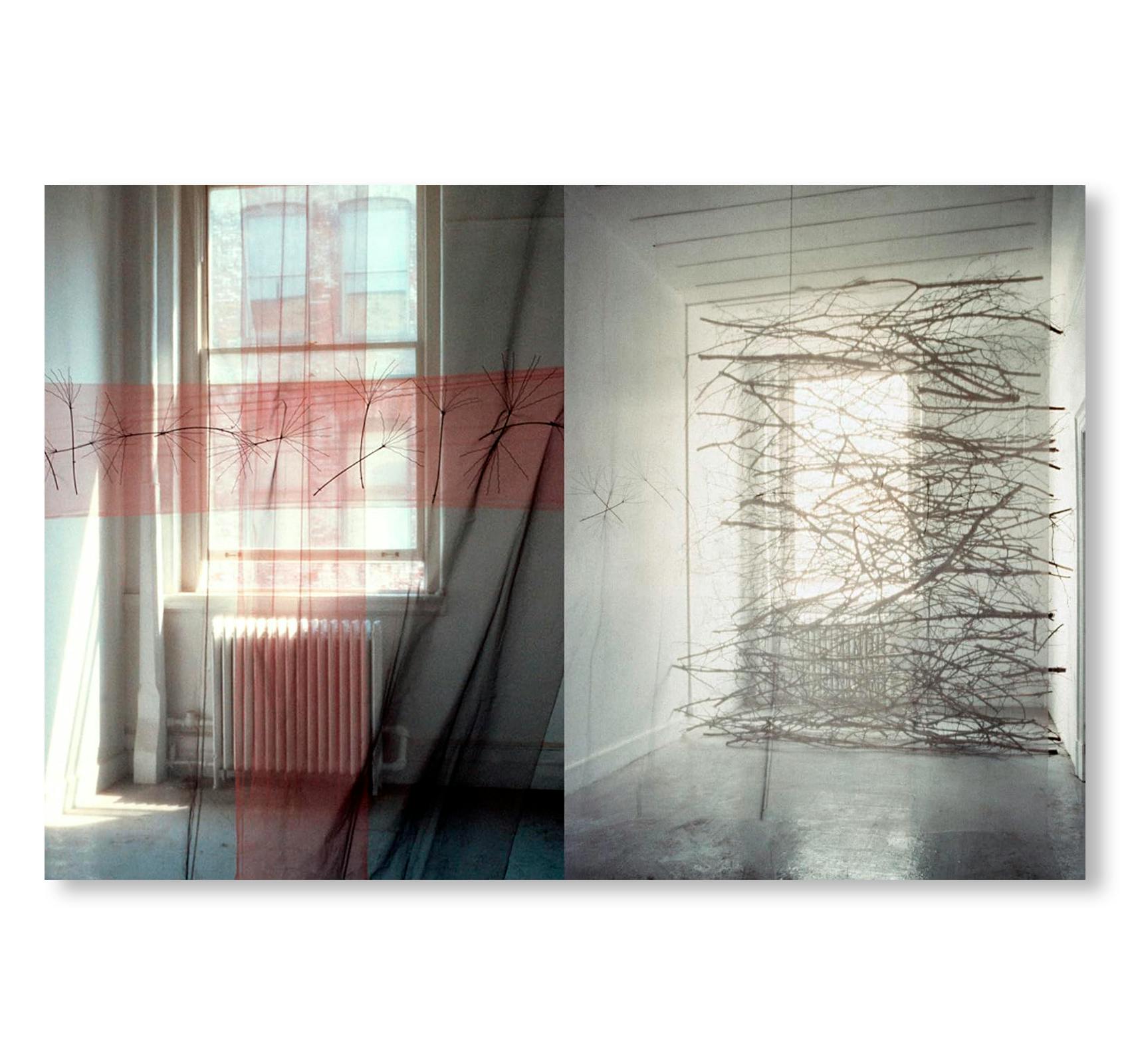 MAREN HASSINGER: LIVING MOVING GROWING