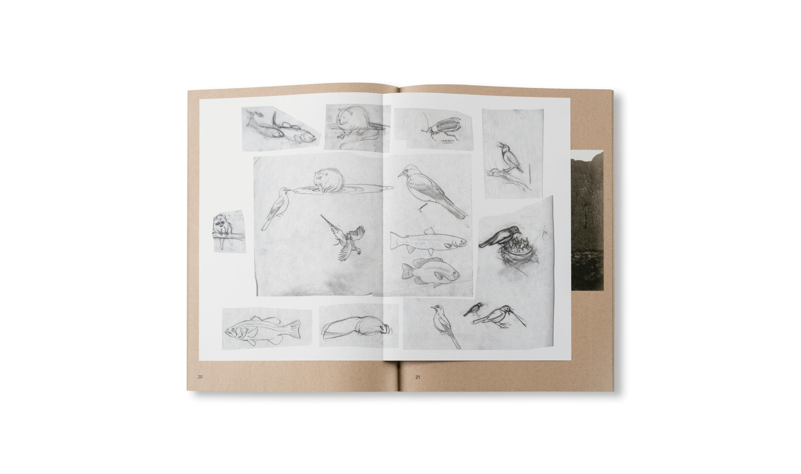 WIDENING THE LENS: PHOTOGRAPHY, ECOLOGY, AND THE CONTEMPORARY LANDSCAPE