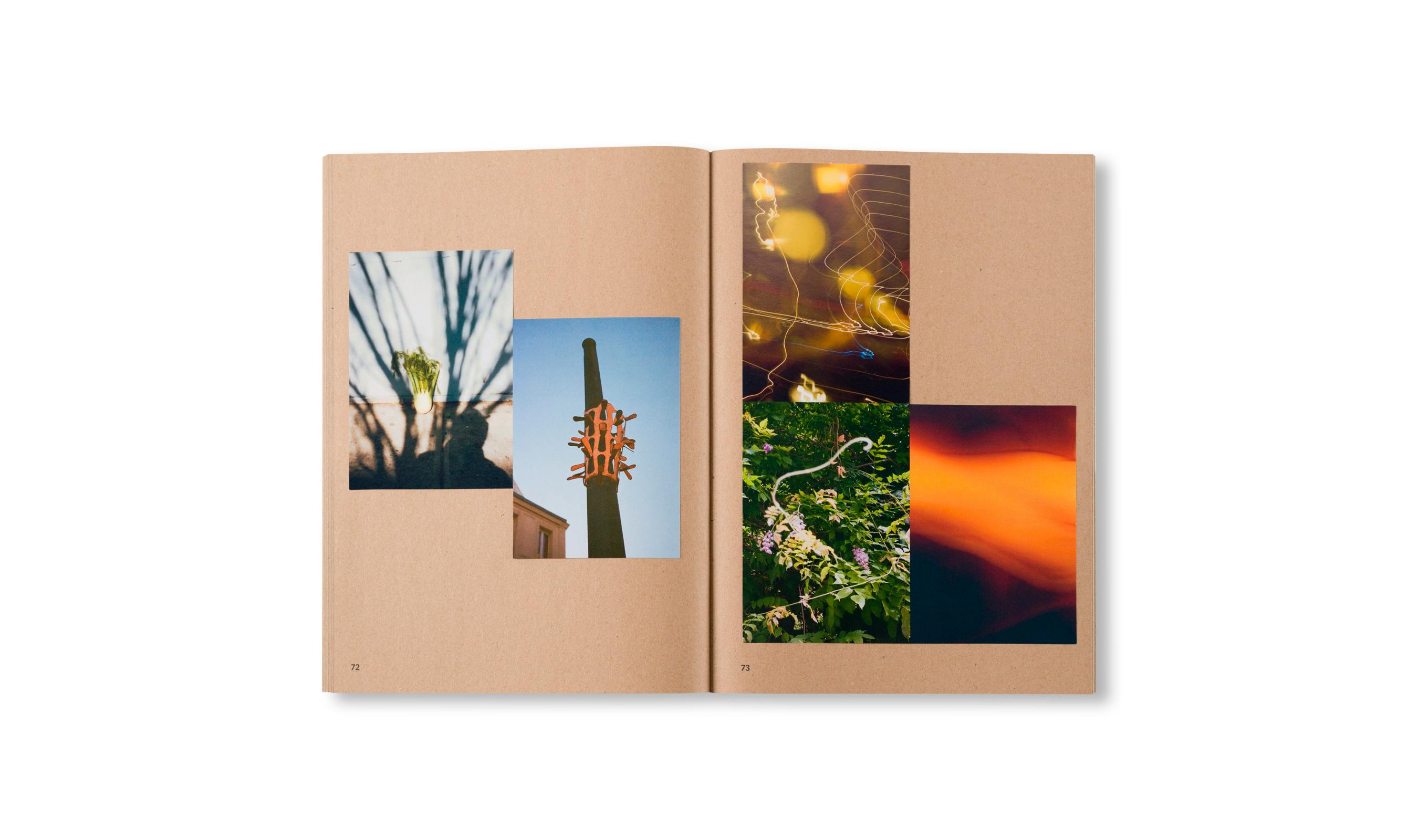 WIDENING THE LENS: PHOTOGRAPHY, ECOLOGY, AND THE CONTEMPORARY LANDSCAPE