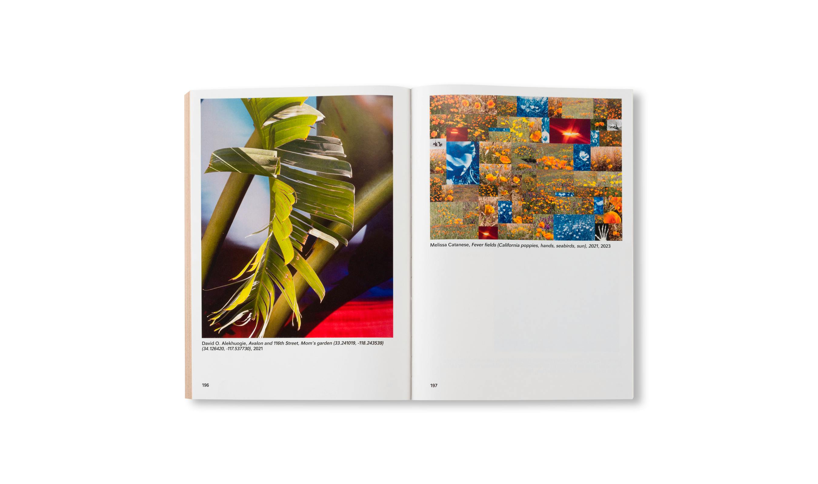 WIDENING THE LENS: PHOTOGRAPHY, ECOLOGY, AND THE CONTEMPORARY LANDSCAPE